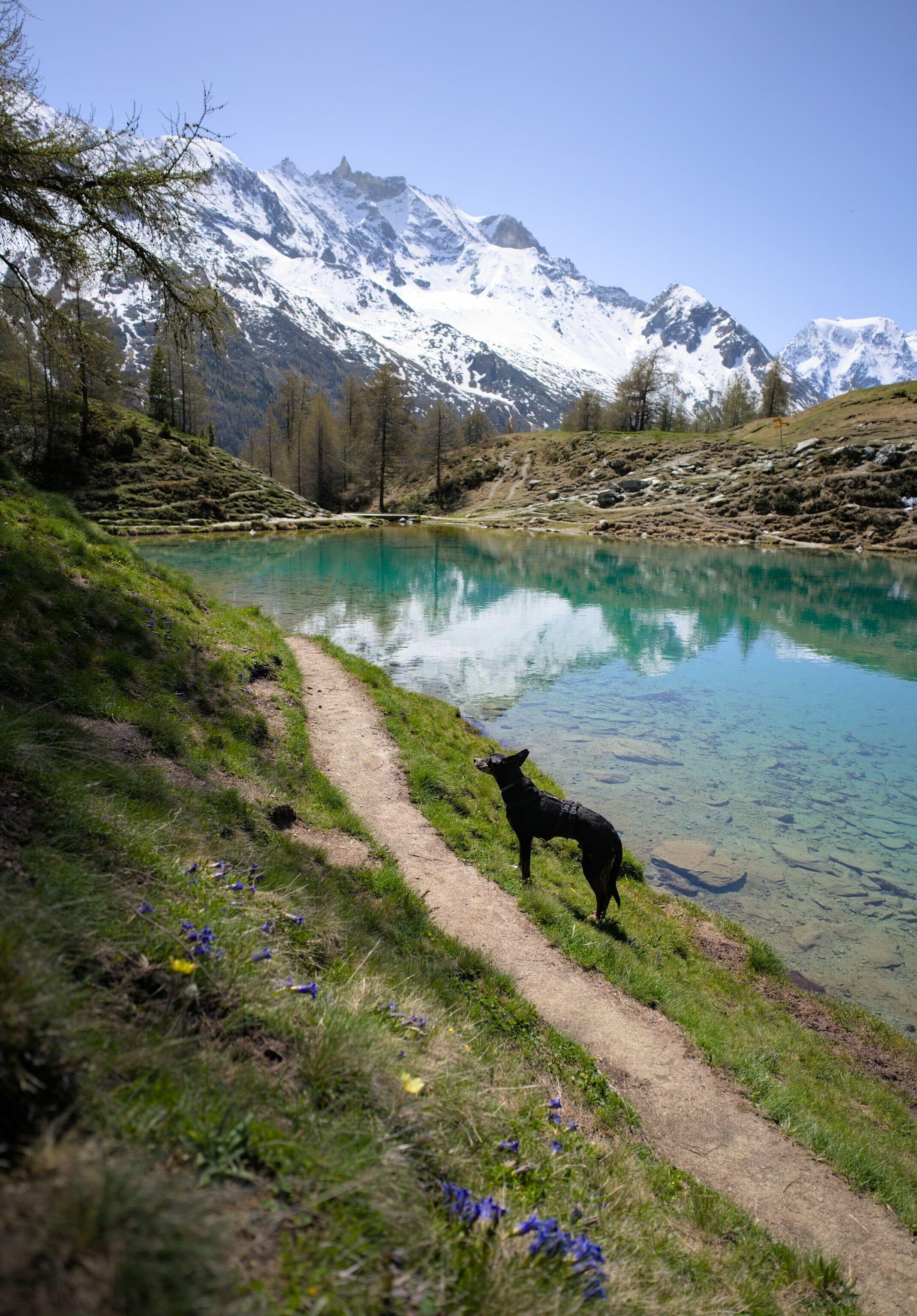 The famous Lac Bleu (Blue Lake) near Arolla in Val d'Hérens, a popular hiking destination.