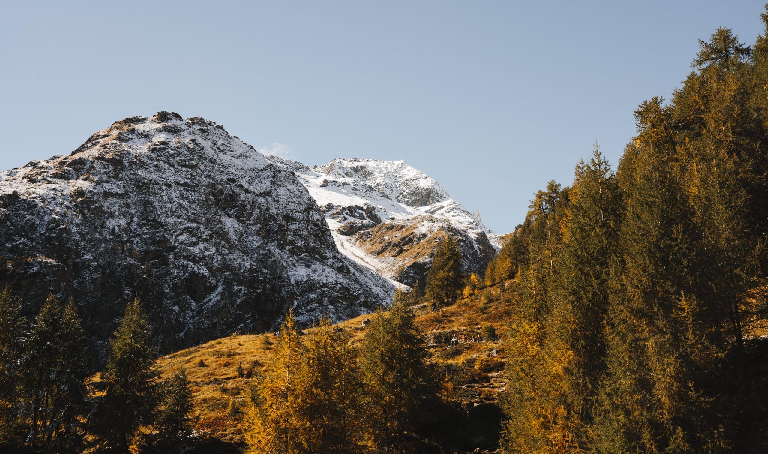 The stunning orange larch trees in the Val d'Hérens during autumn.