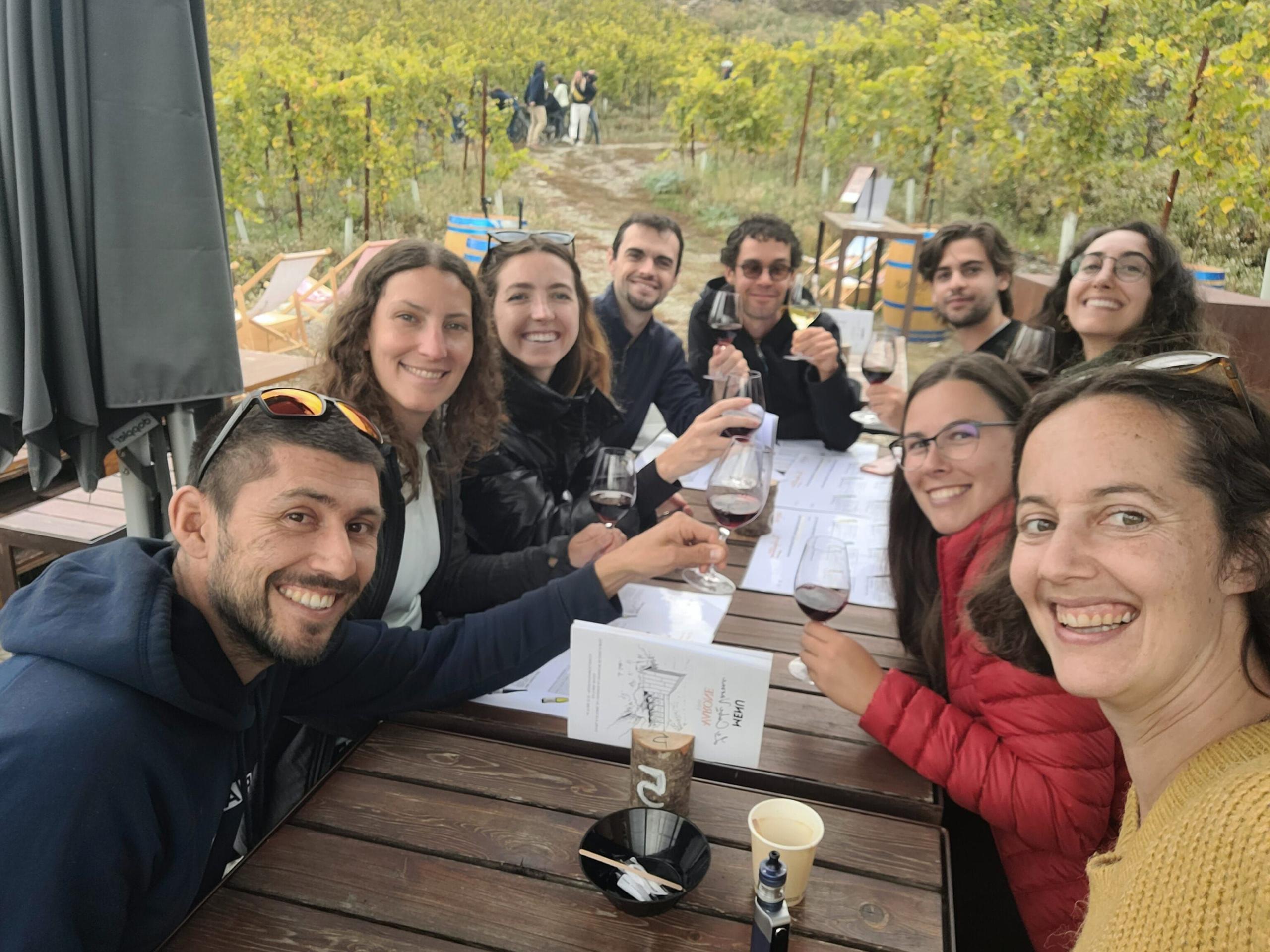 Wine Tasting in Sion
