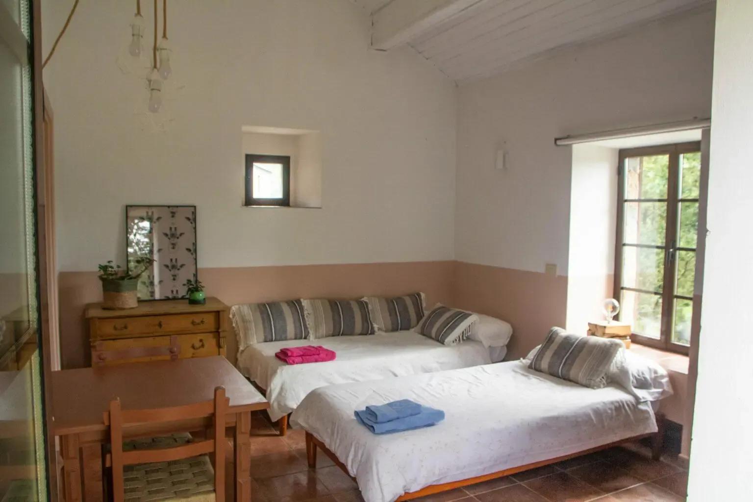 Spacious private room with two single beds, wooden furniture, and windows overlooking the garden