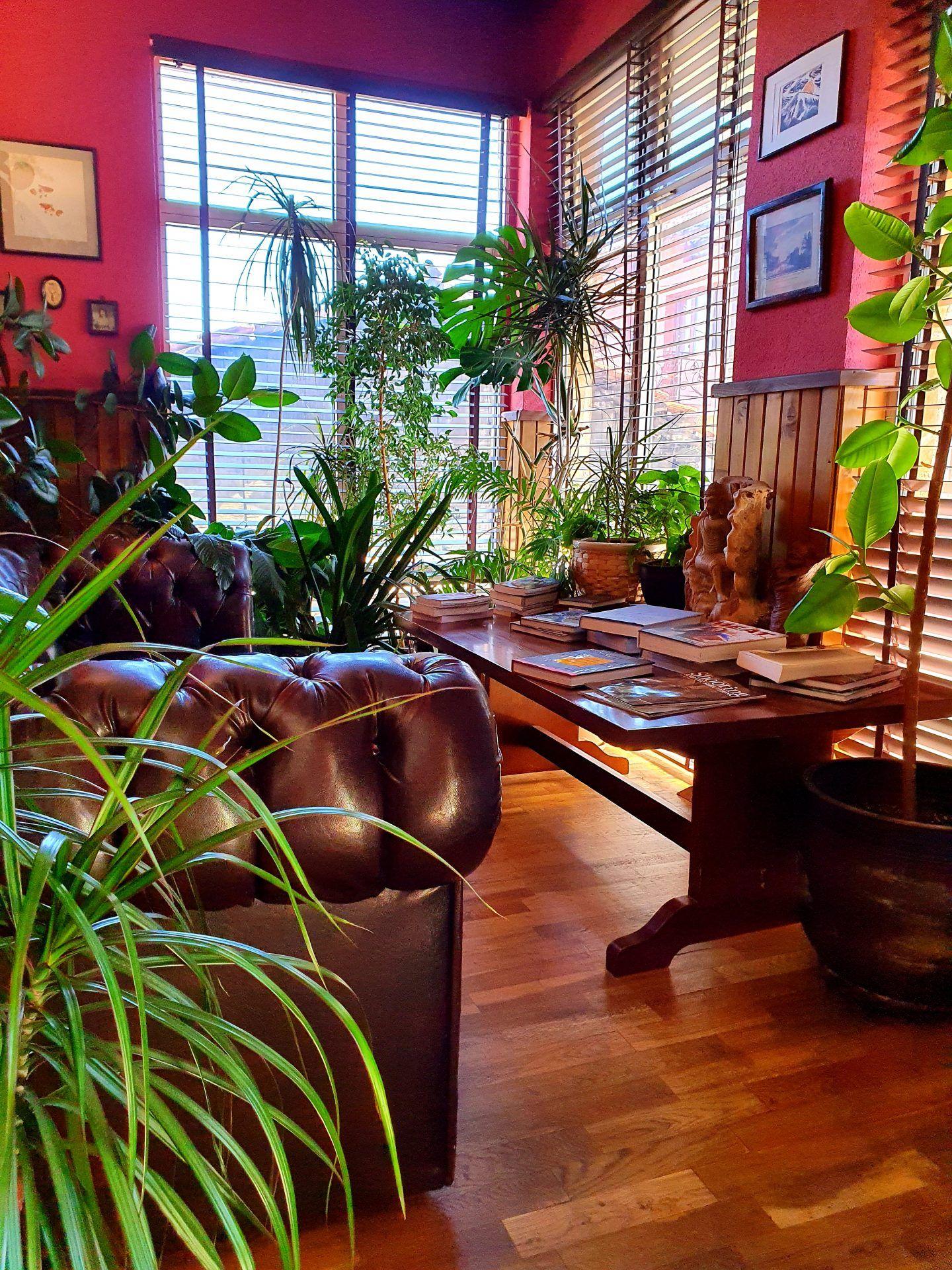 Co-Working in Bansko