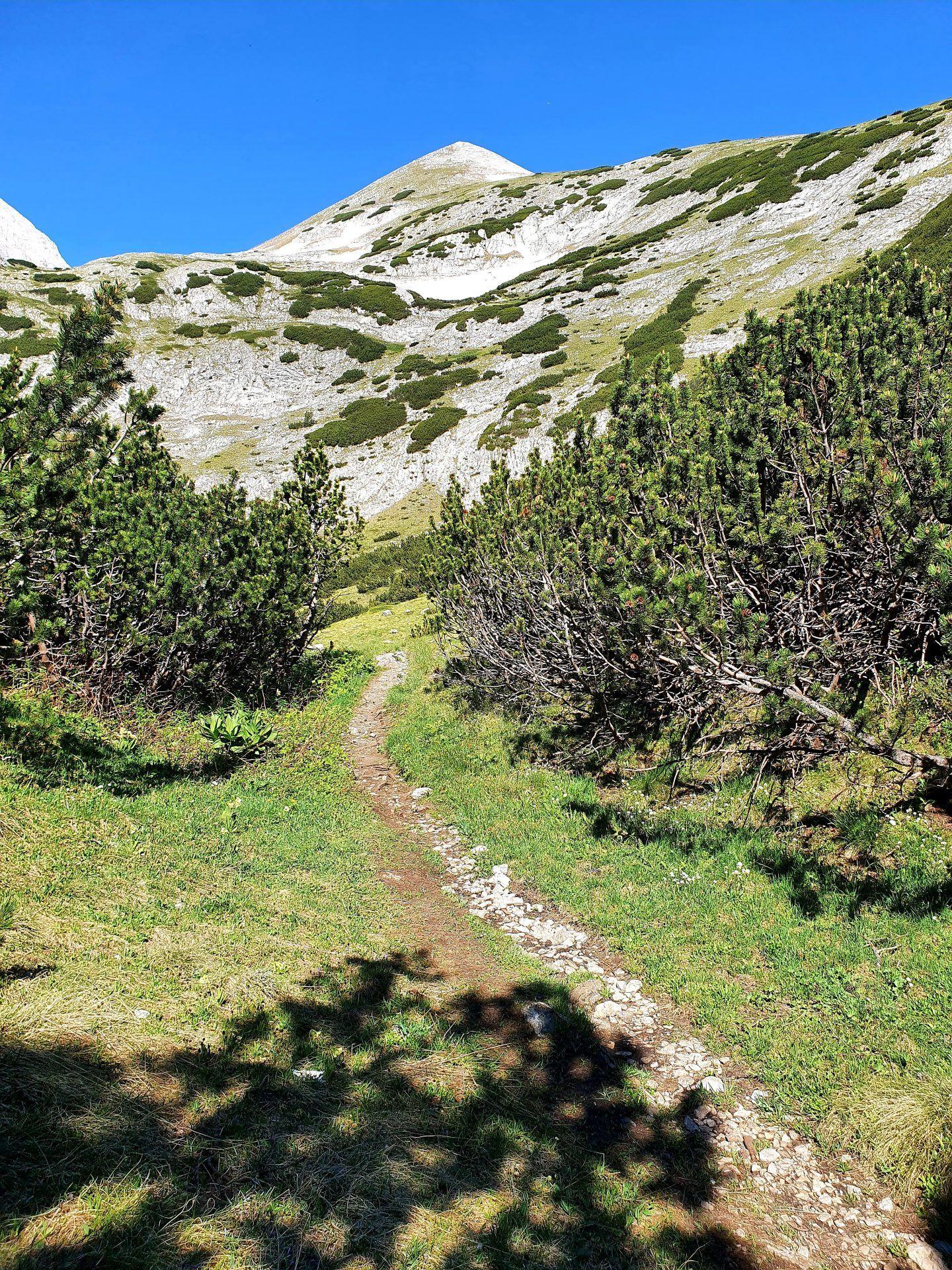 Trek in Pirin 2021