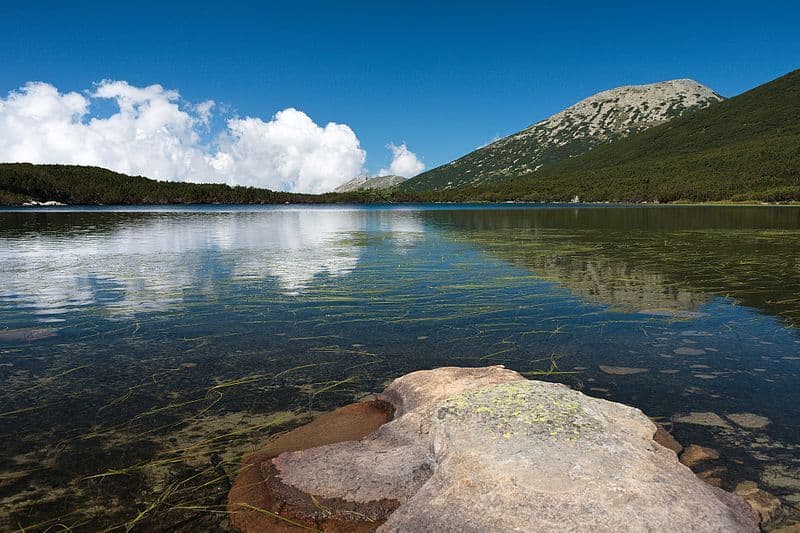 bashliyski_chukar_-_img_5178