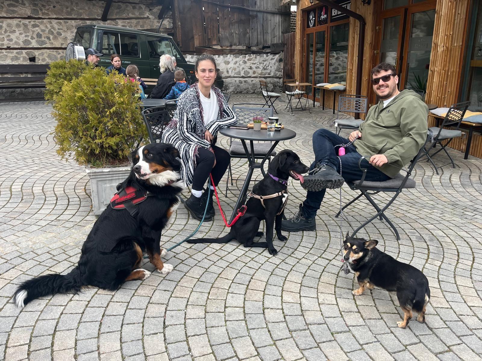 Two guests sitting at an outdoor café in Bansko with three dogs