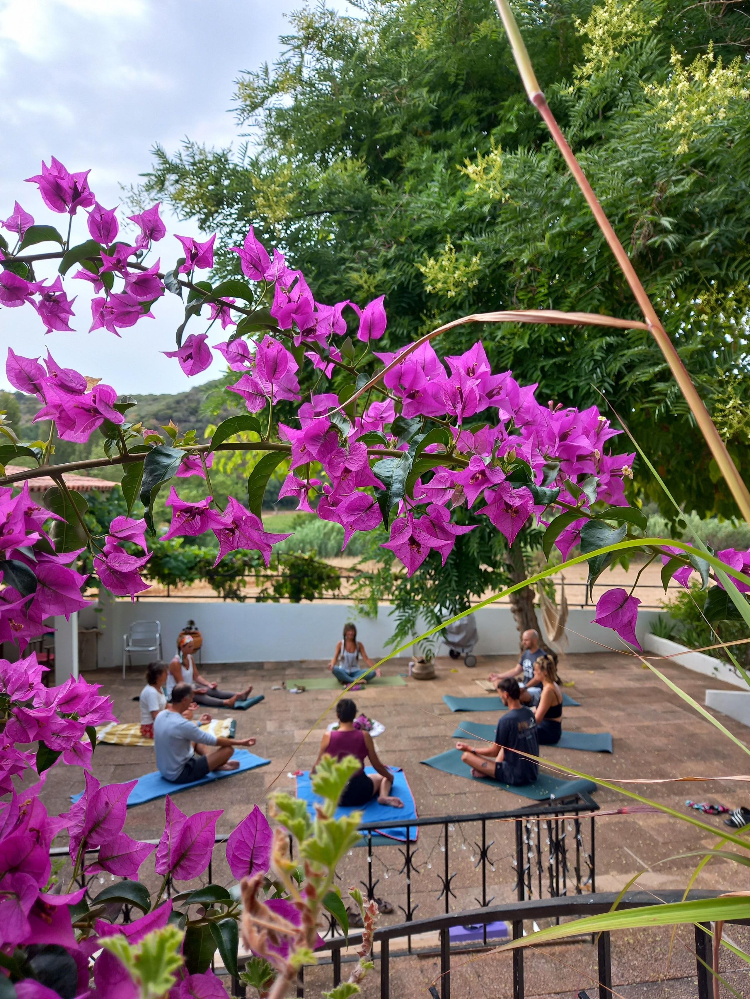 Coliving guests enjoying time together