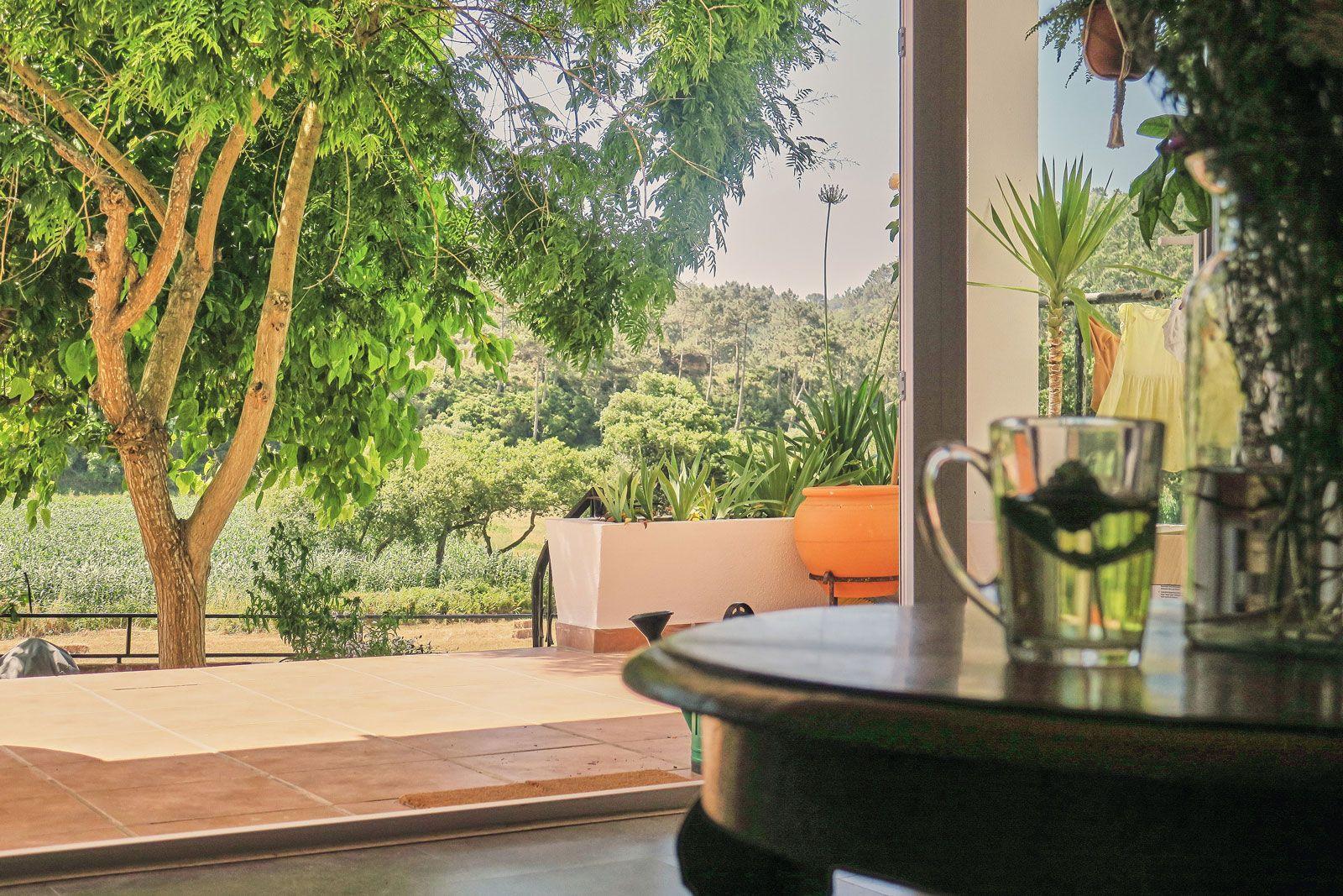 View of the Ribeira valley from inside the house