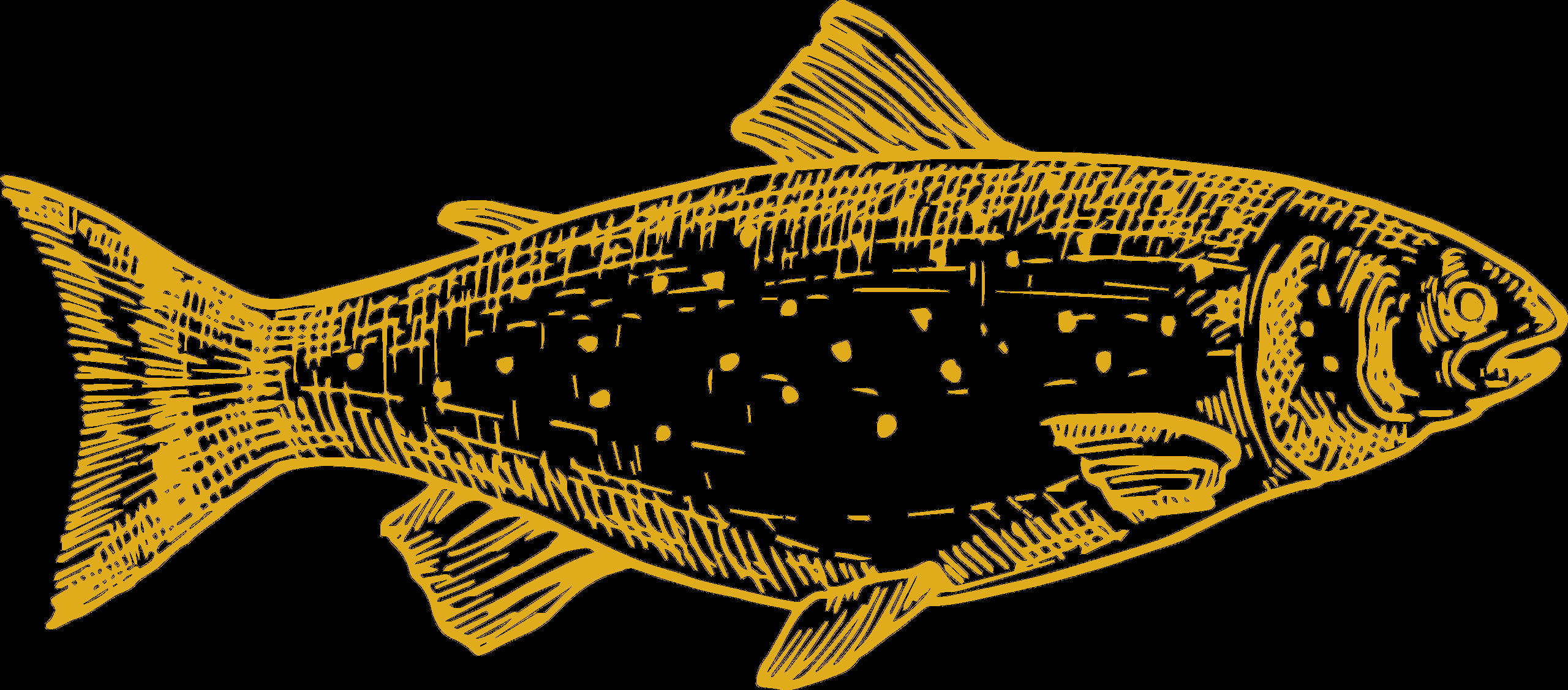 Traditional Portuguese sardines, a local food specialty in Ericeira