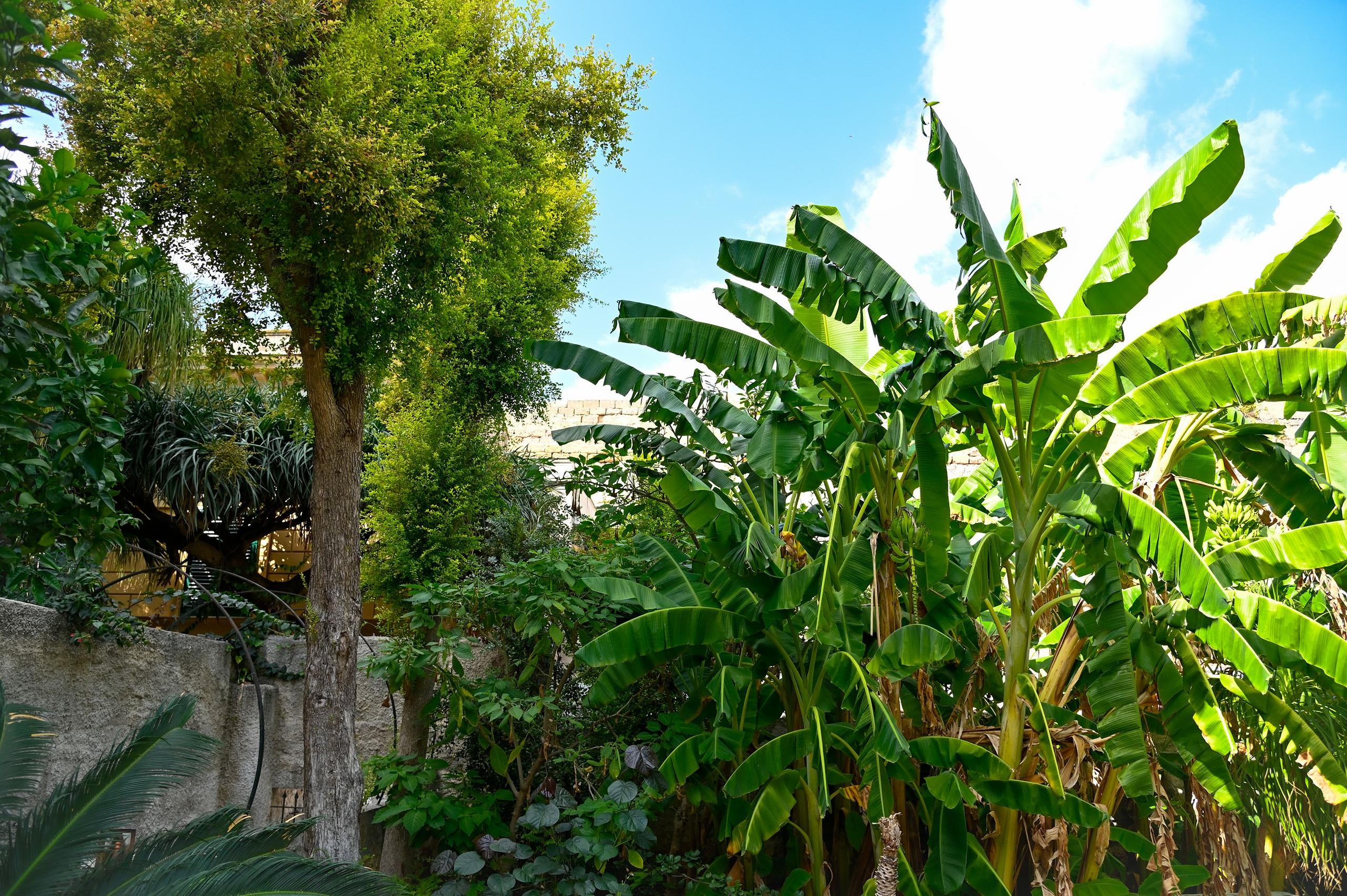Botanical Garden property