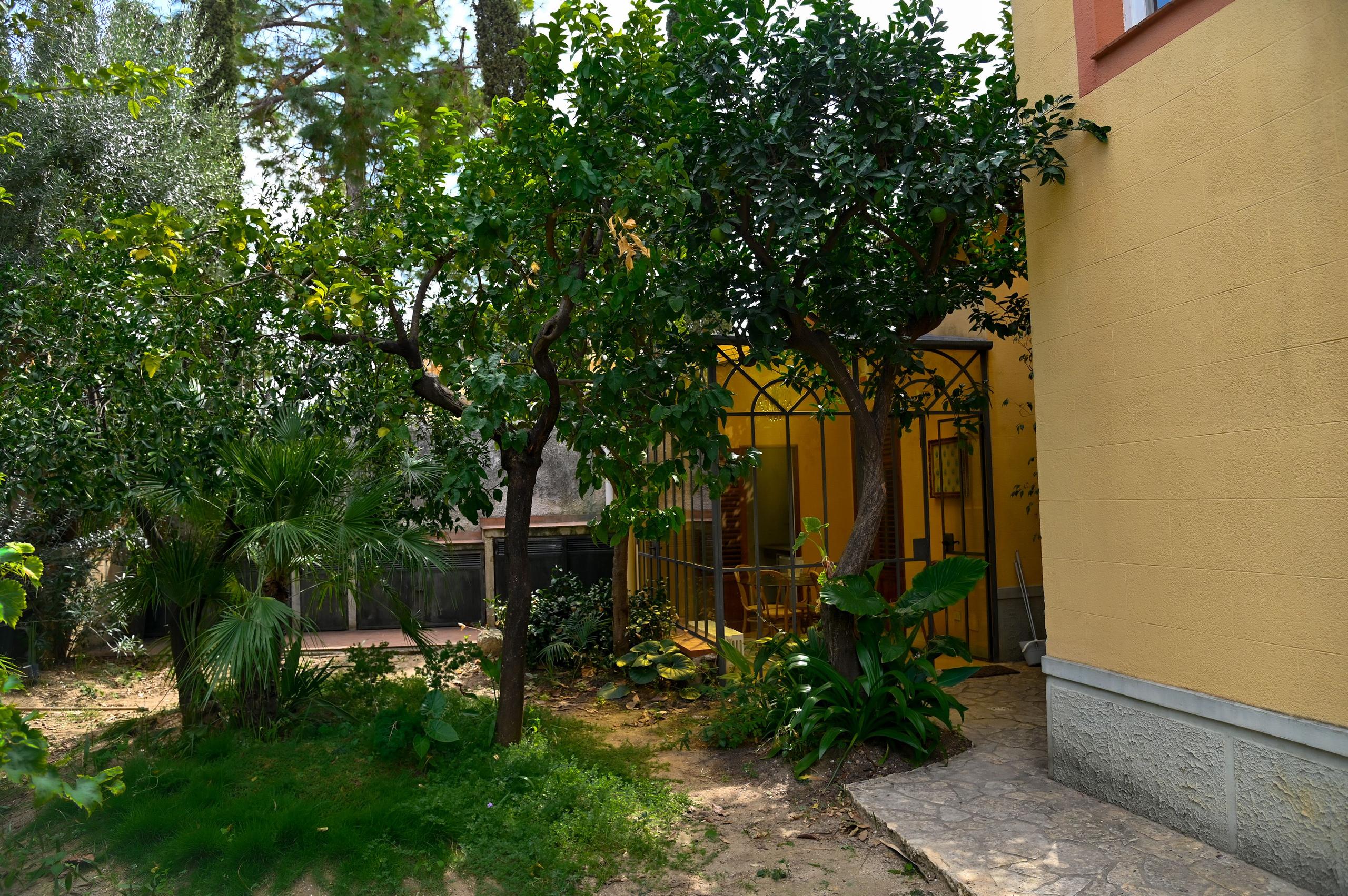 Botanical Garden property