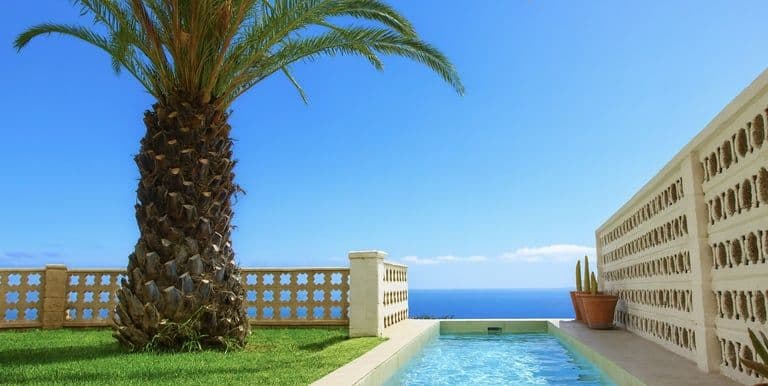 A palm tree and a swimming pool with a view from coliving in northern Tenerife