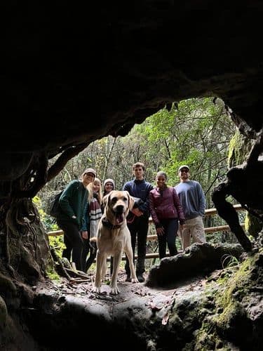 Group of colivers and a dog posing inside a cave entrance in a lush forest