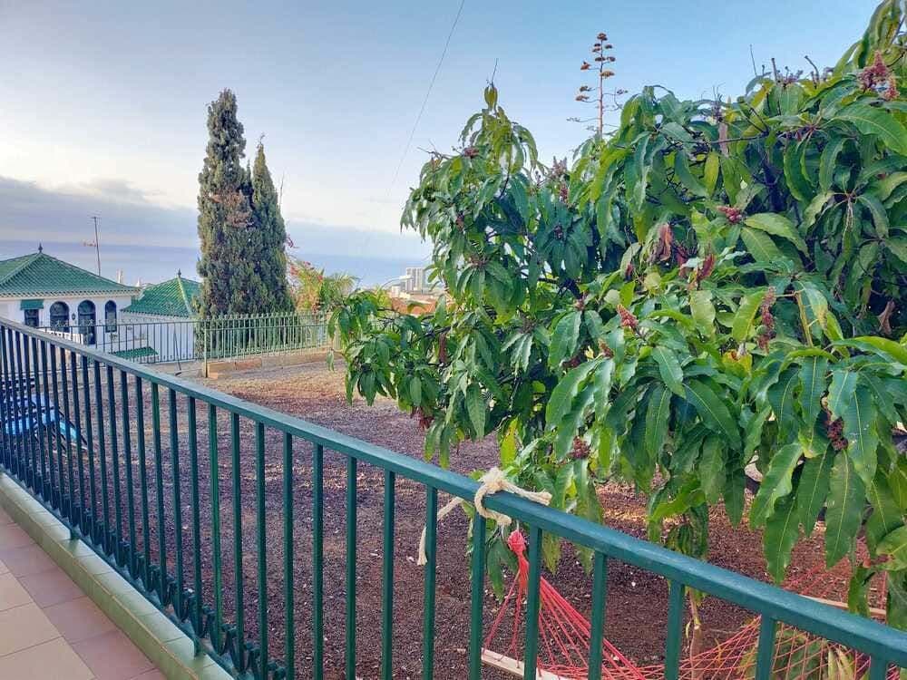 Garden view 2
