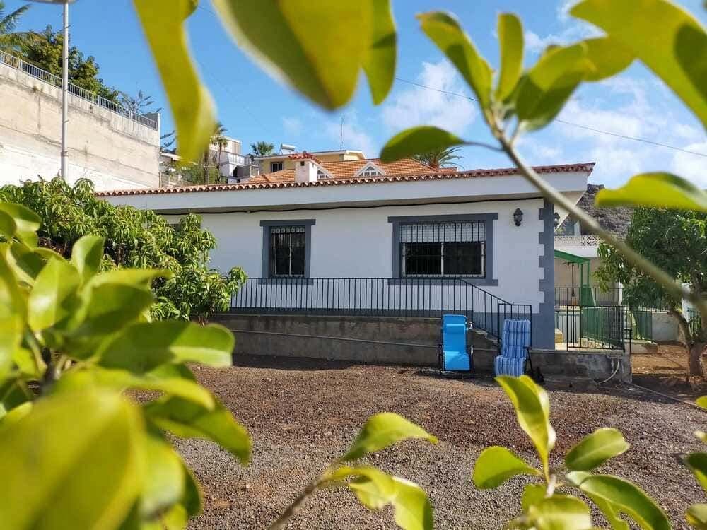 Garden view 3