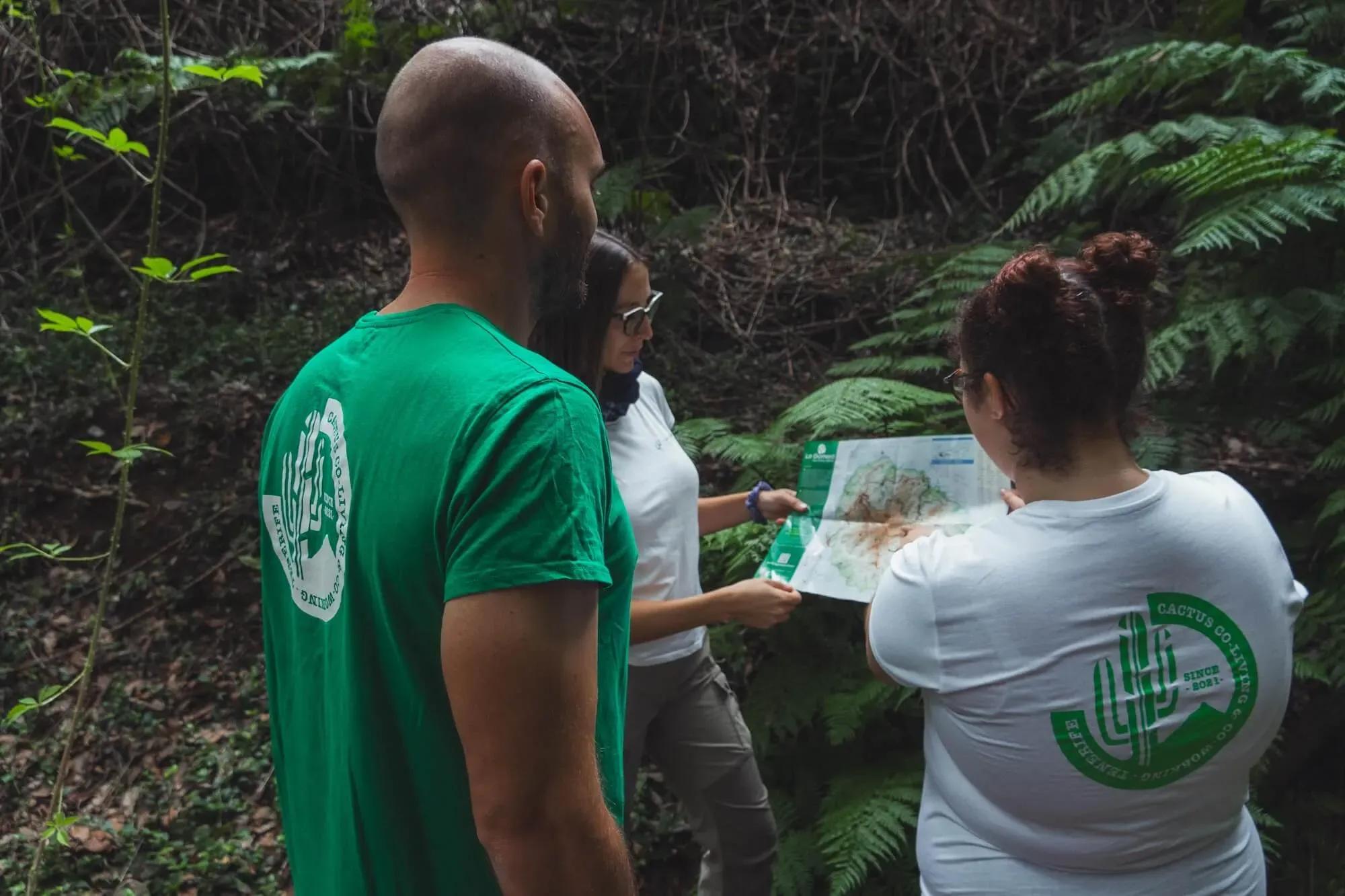 A group of digital nomads going for a hike in the Laurisilva forest of La Gomera