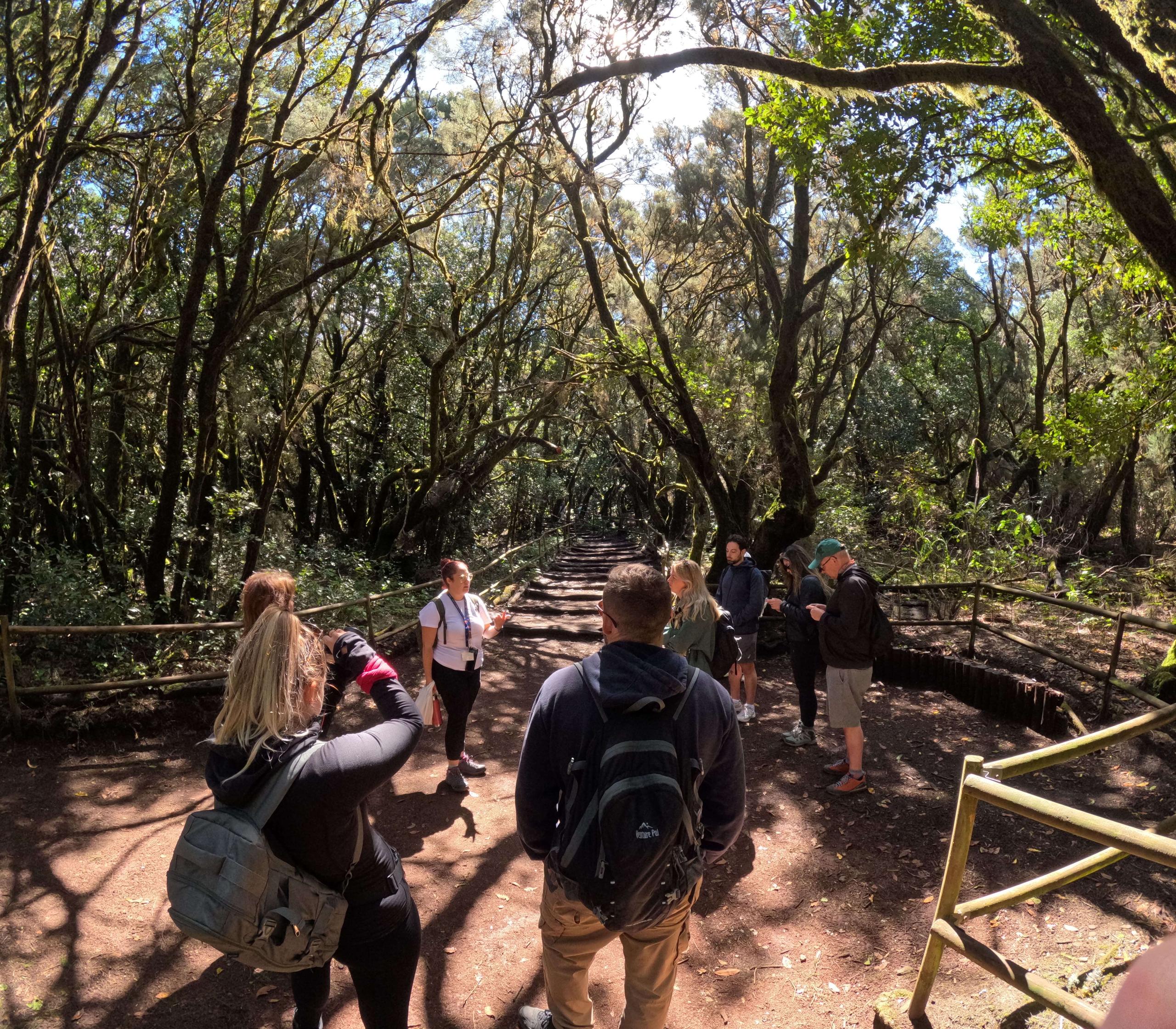Garajonay National Park, La Gomera