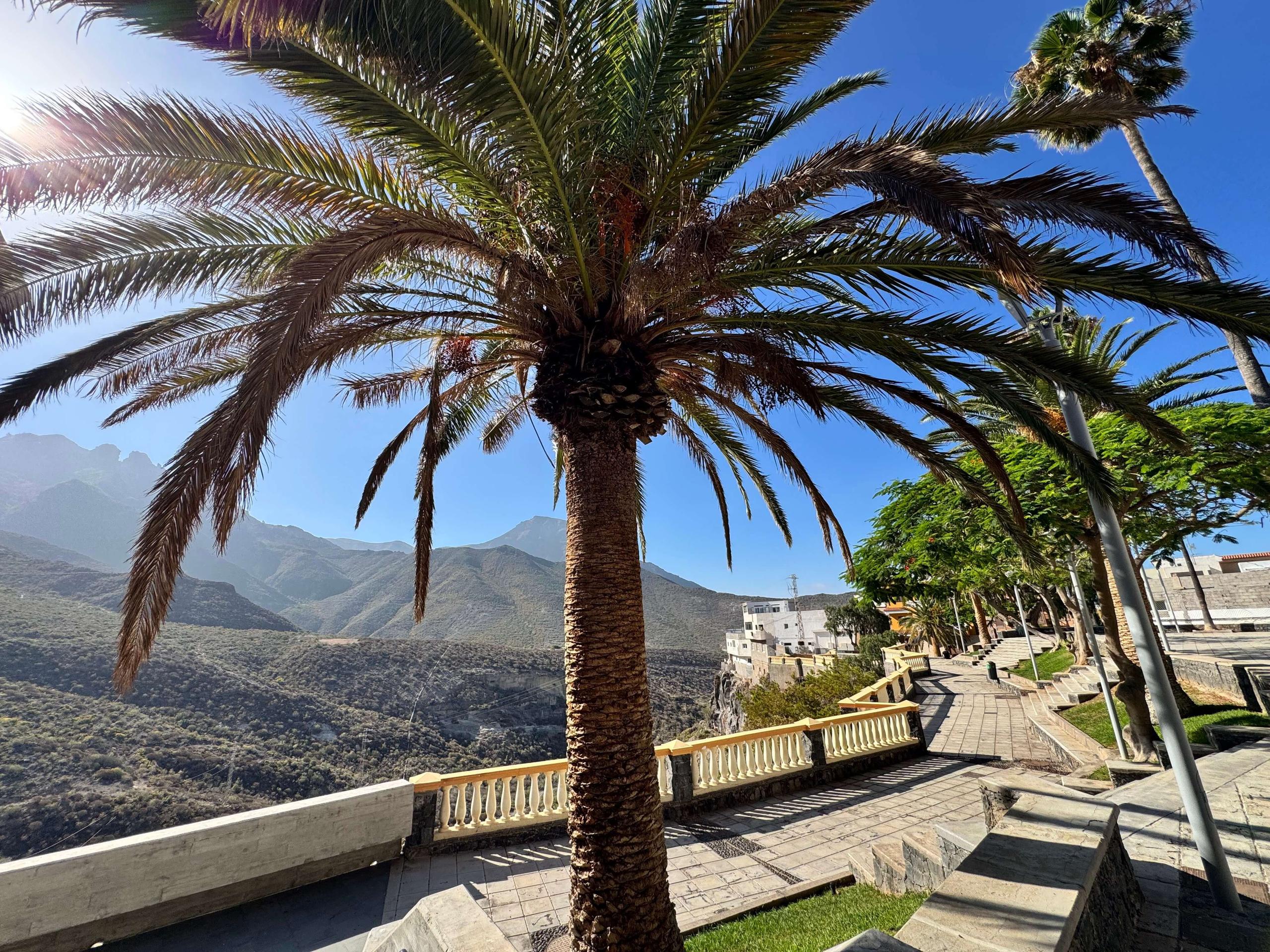 Palm-lined promenade in Adeje with mountain views and blue sky