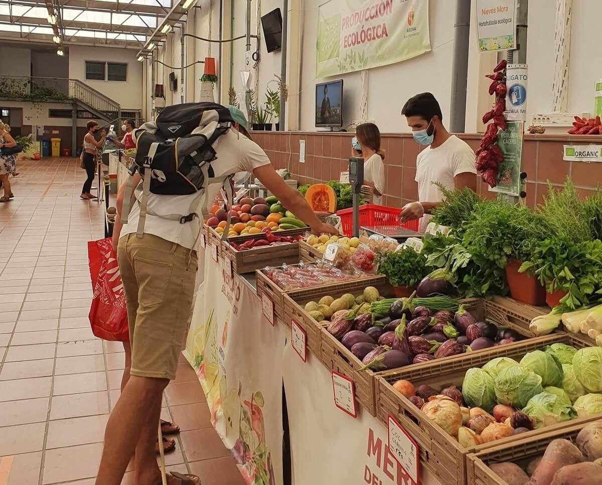 Person shopping at a local organic produce market in Tenerife