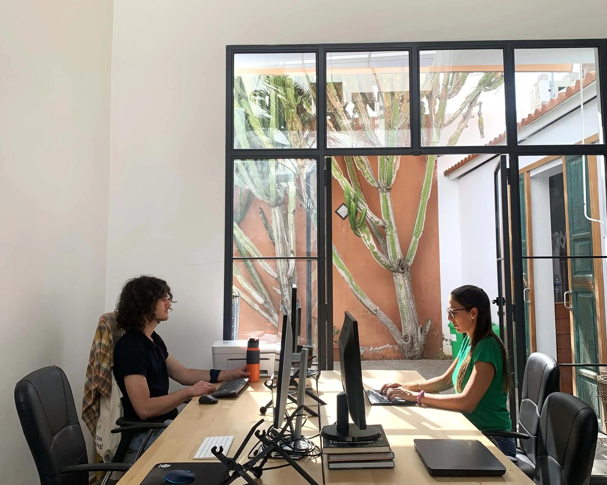 Digital Nomads doing some work at Cactus' Coworking Space