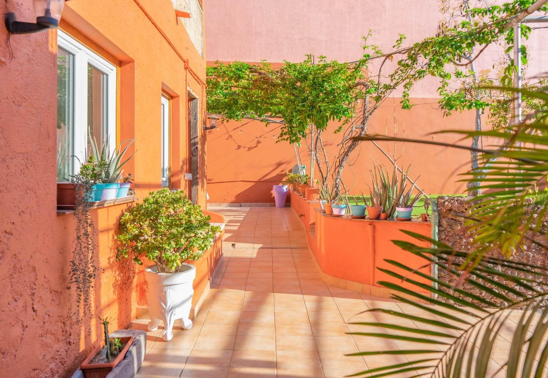 Garden and outdoor BBQ area at Cactus Coliving in Tenerife