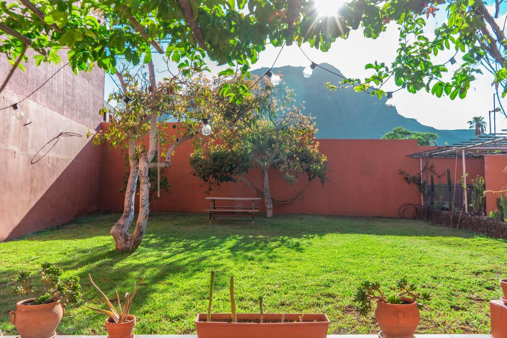 Garden with fruit trees, string lights, and mountain backdrop