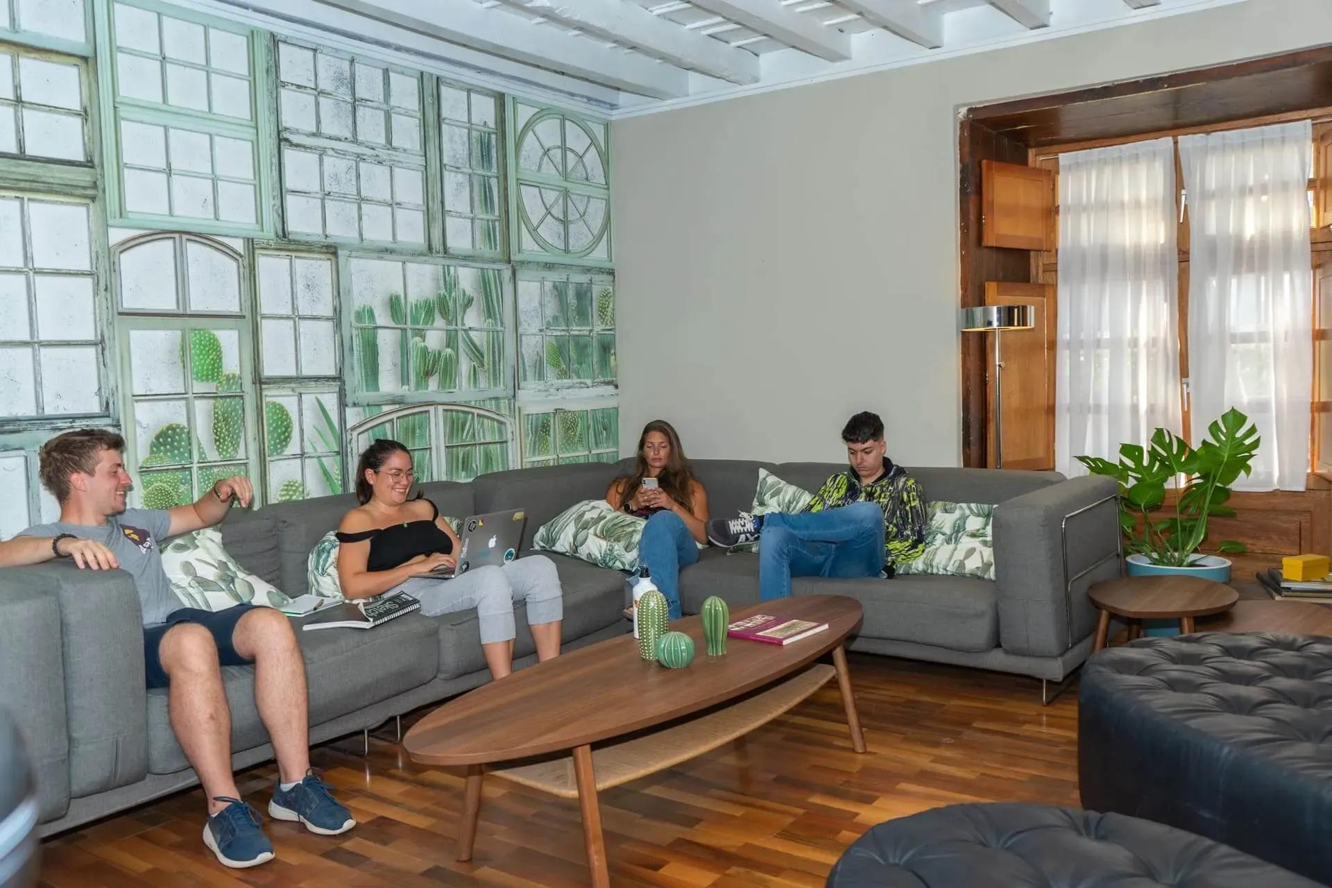 Community members relaxing on the grey sofa in the living room with cactus-themed wallpaper mural