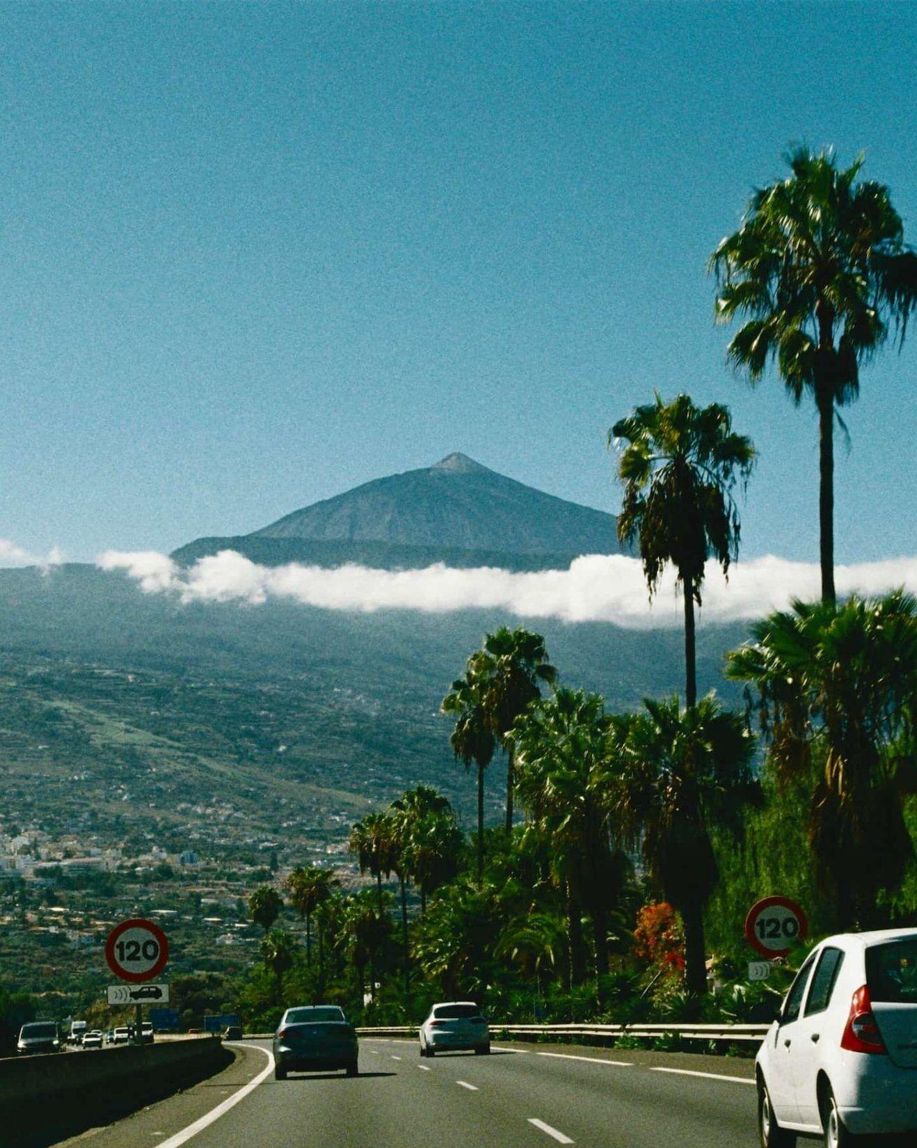 Road with palm trees leading toward Mount Teide volcano under a clear blue sky in Tenerife
