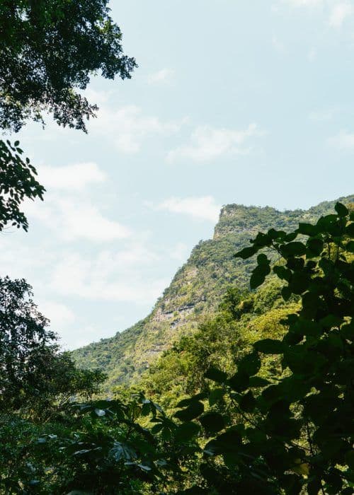 Mountain views from the coliving in Colombia