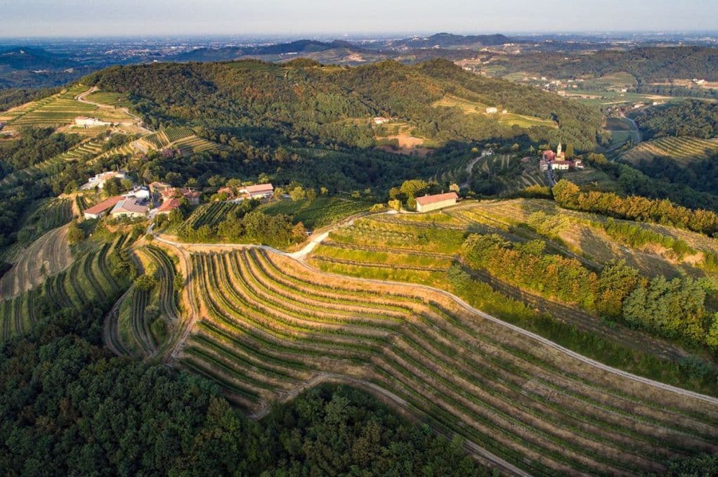 Bike tour around the vineyards of Collio Isontino near Gorizia
