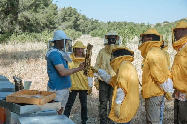 Wonder Grottole Beekeeping