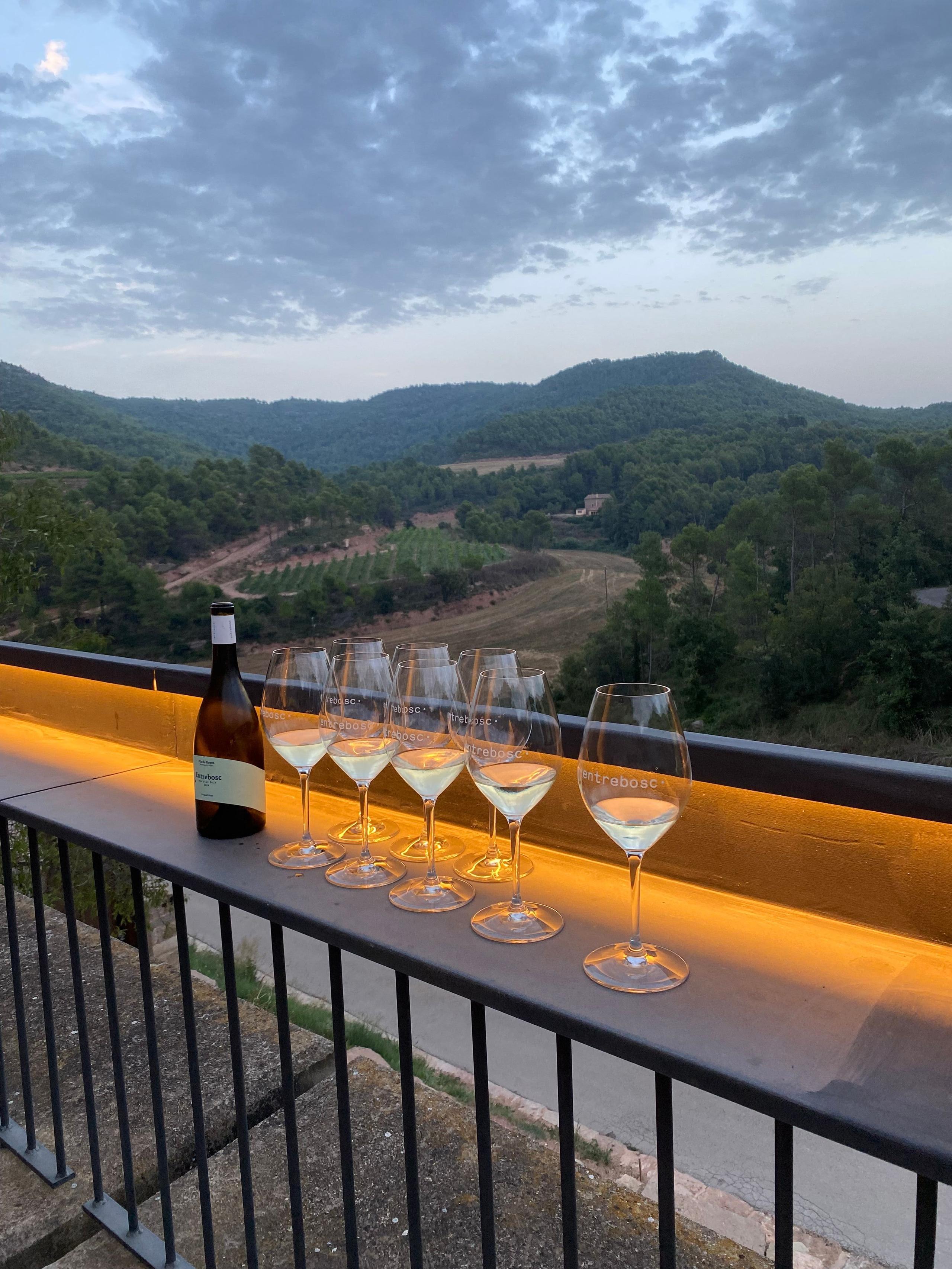 Visit local wineries in the Anoia region