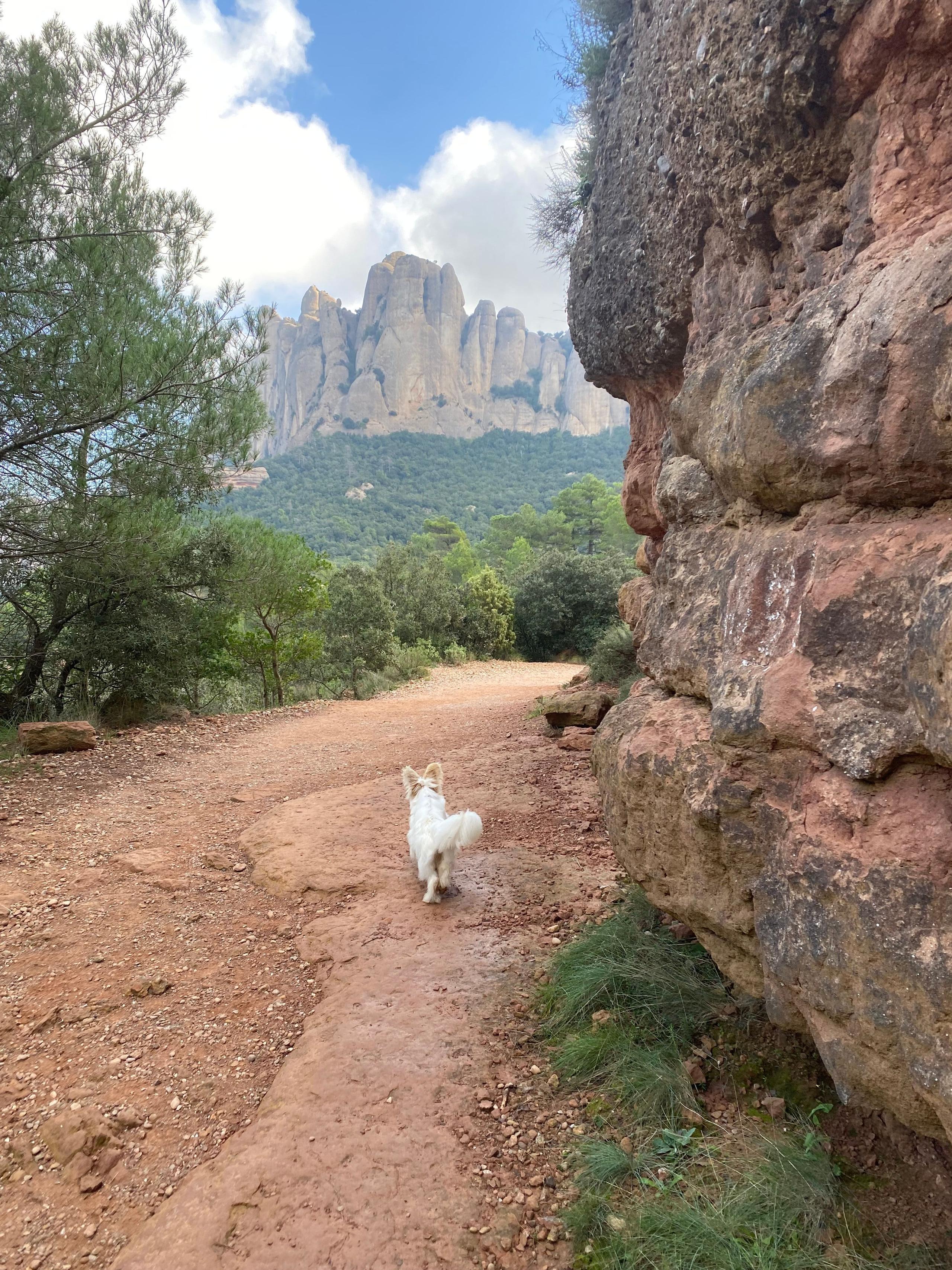 Visit Montserrat — a popular day excursion from Casa Pardal