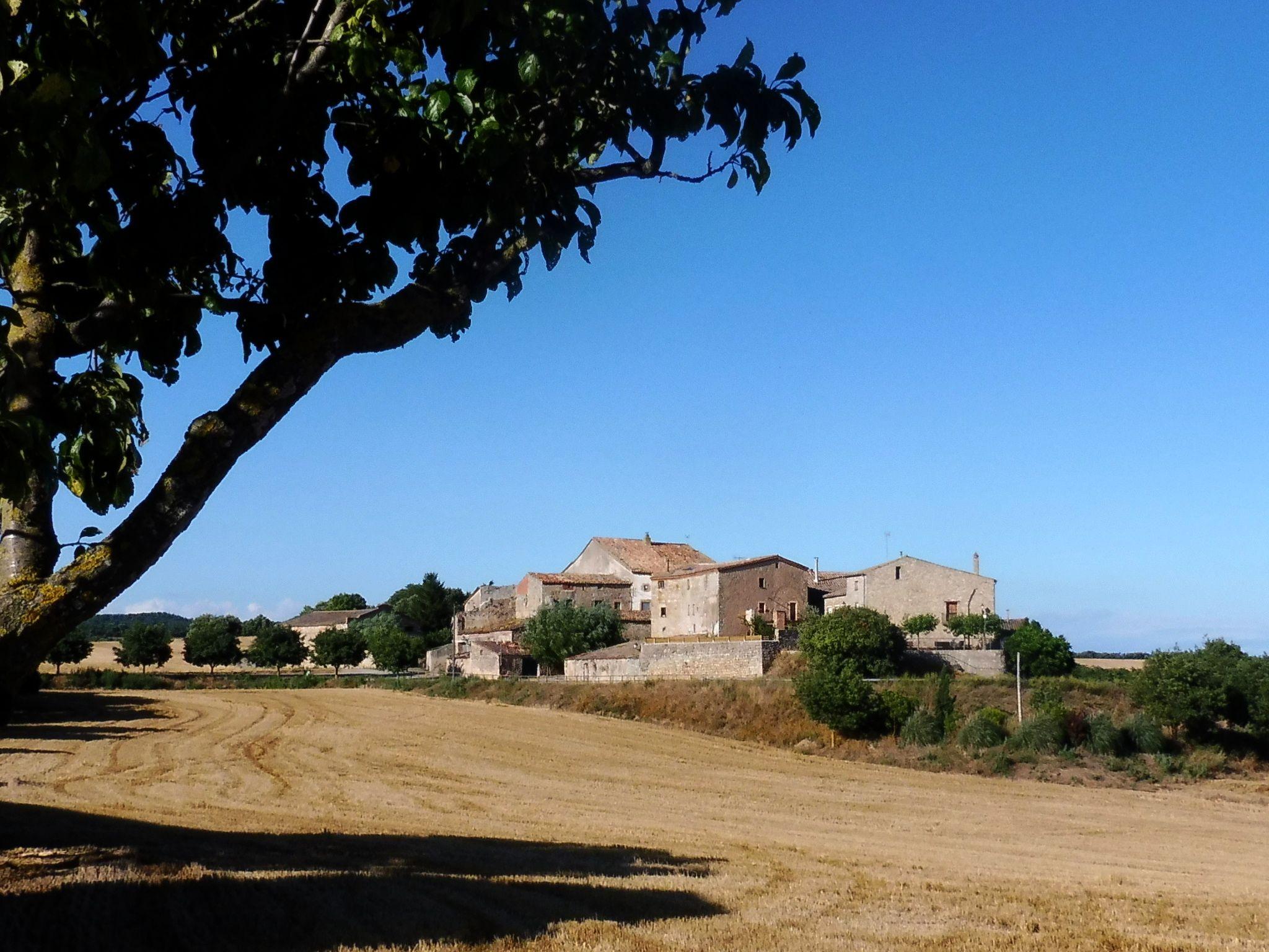 Aerial view of the La Fortesa hamlet (Casa Pardal) surrounded by fields and trees in Catalonia