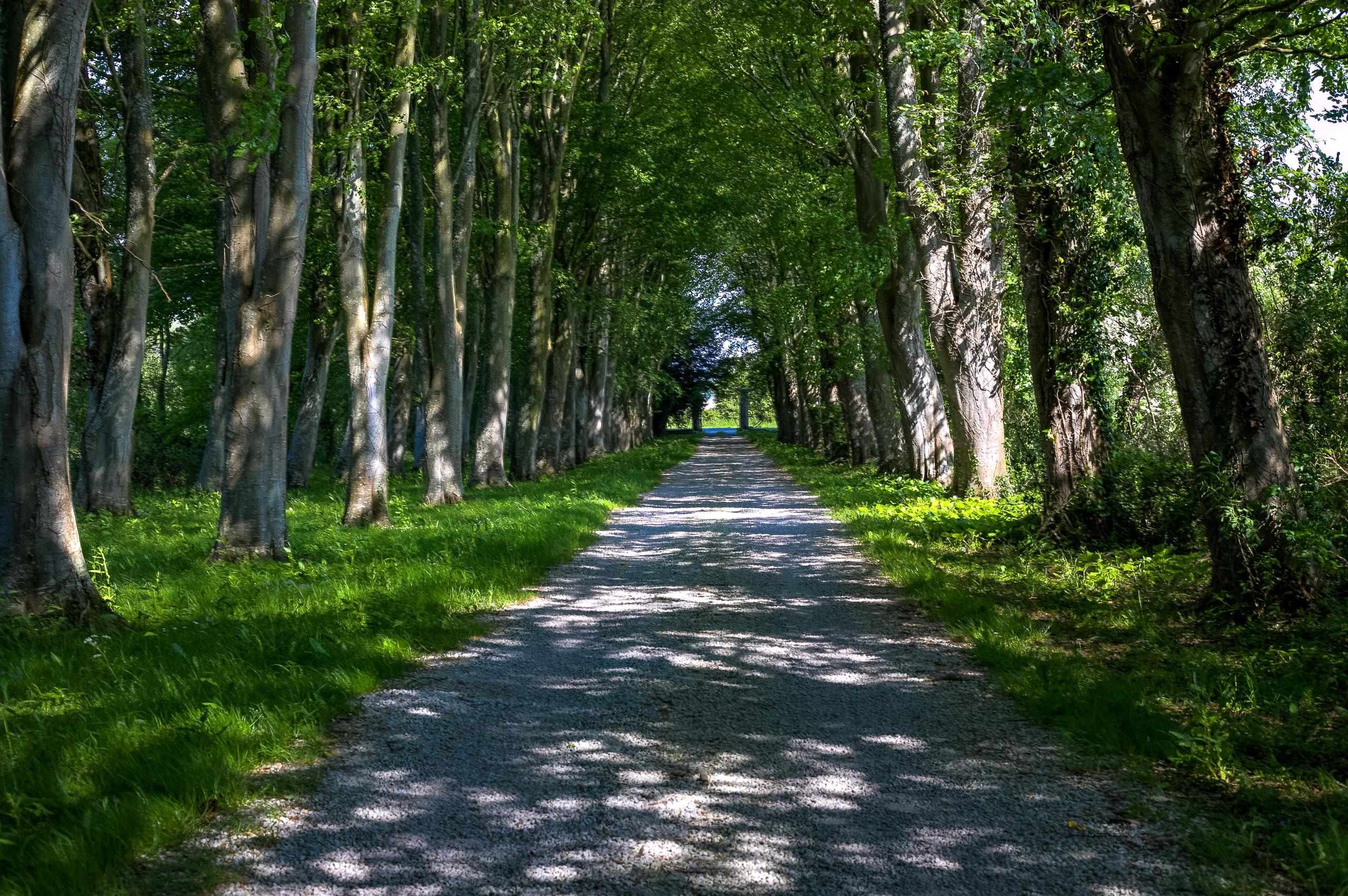 Front entrance of the château