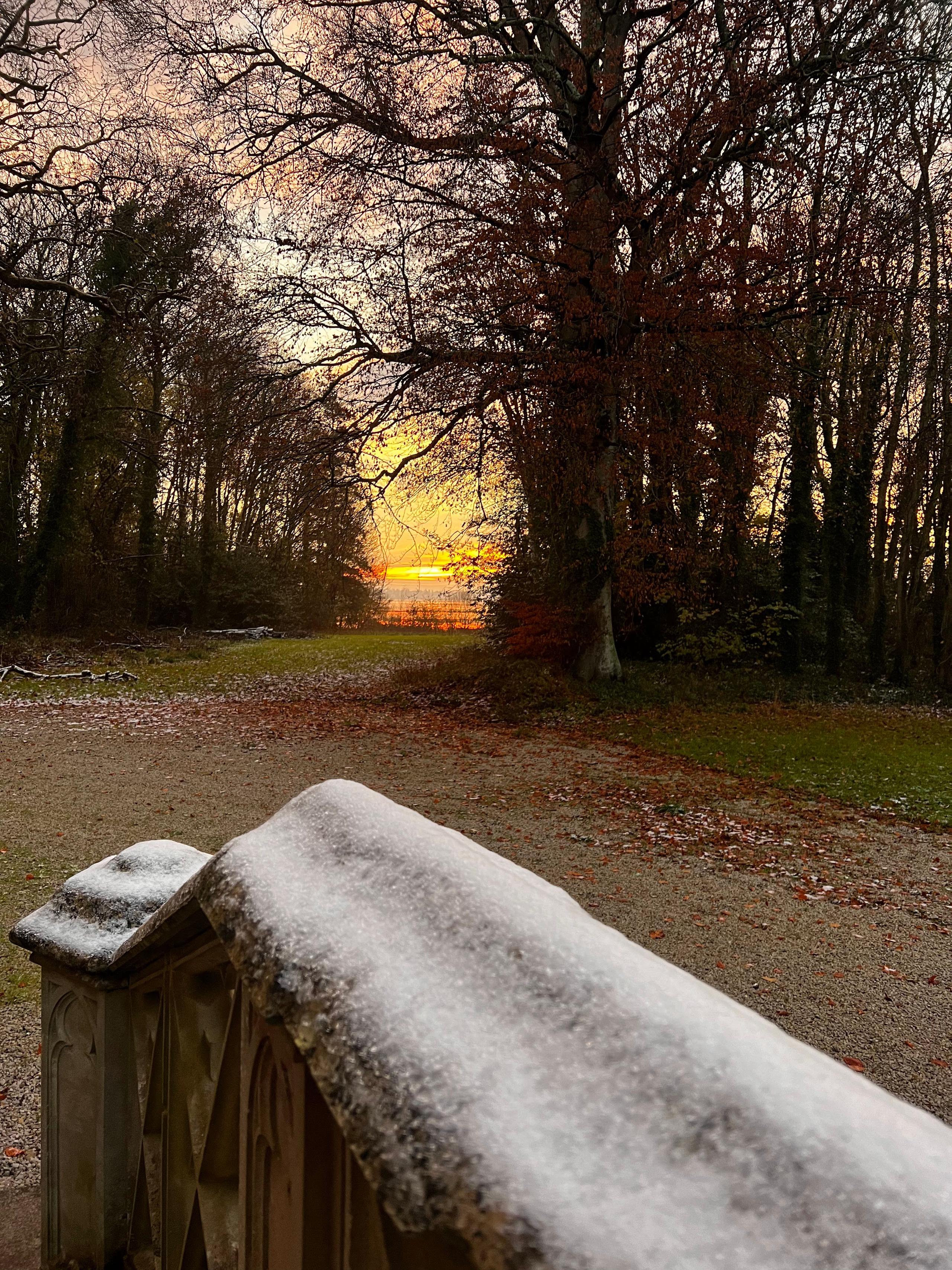 Outdoor grounds in spring at Château Coliving