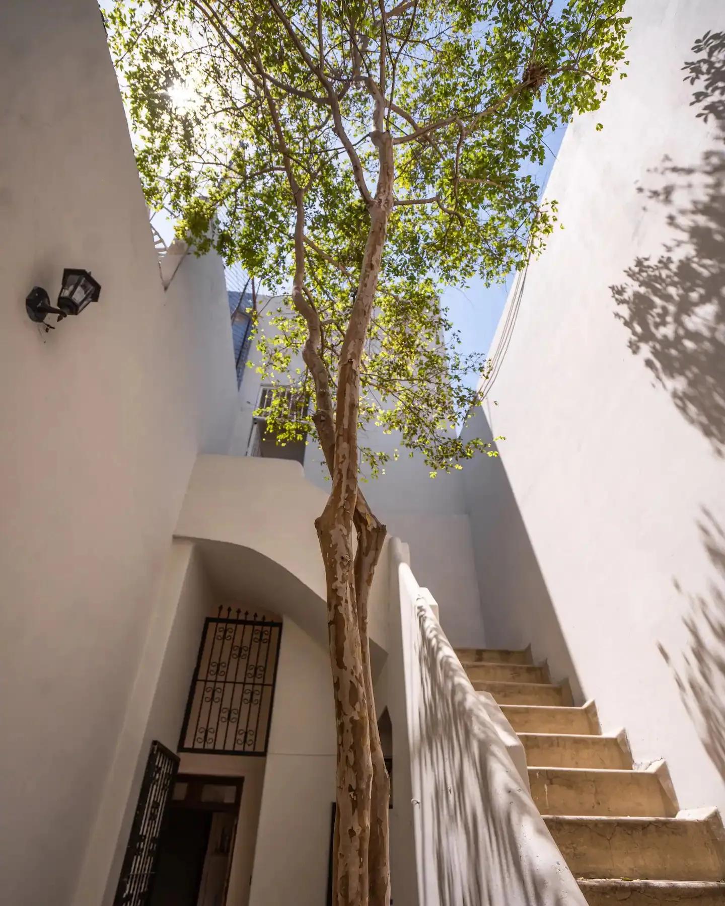 Open-air interior courtyard with a tall tree growing through the space, white walls and stone staircase