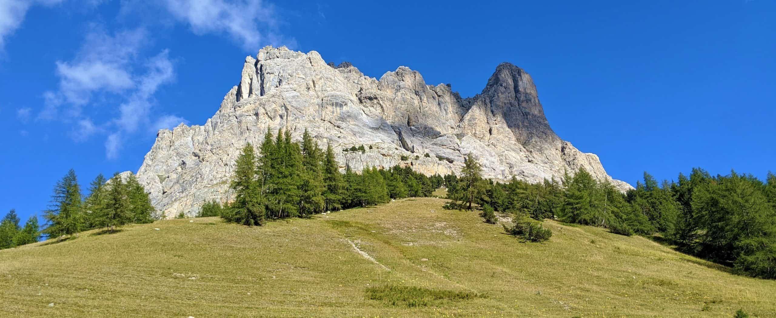 Rocky mountain peak with pine trees and meadow in the French Alps
