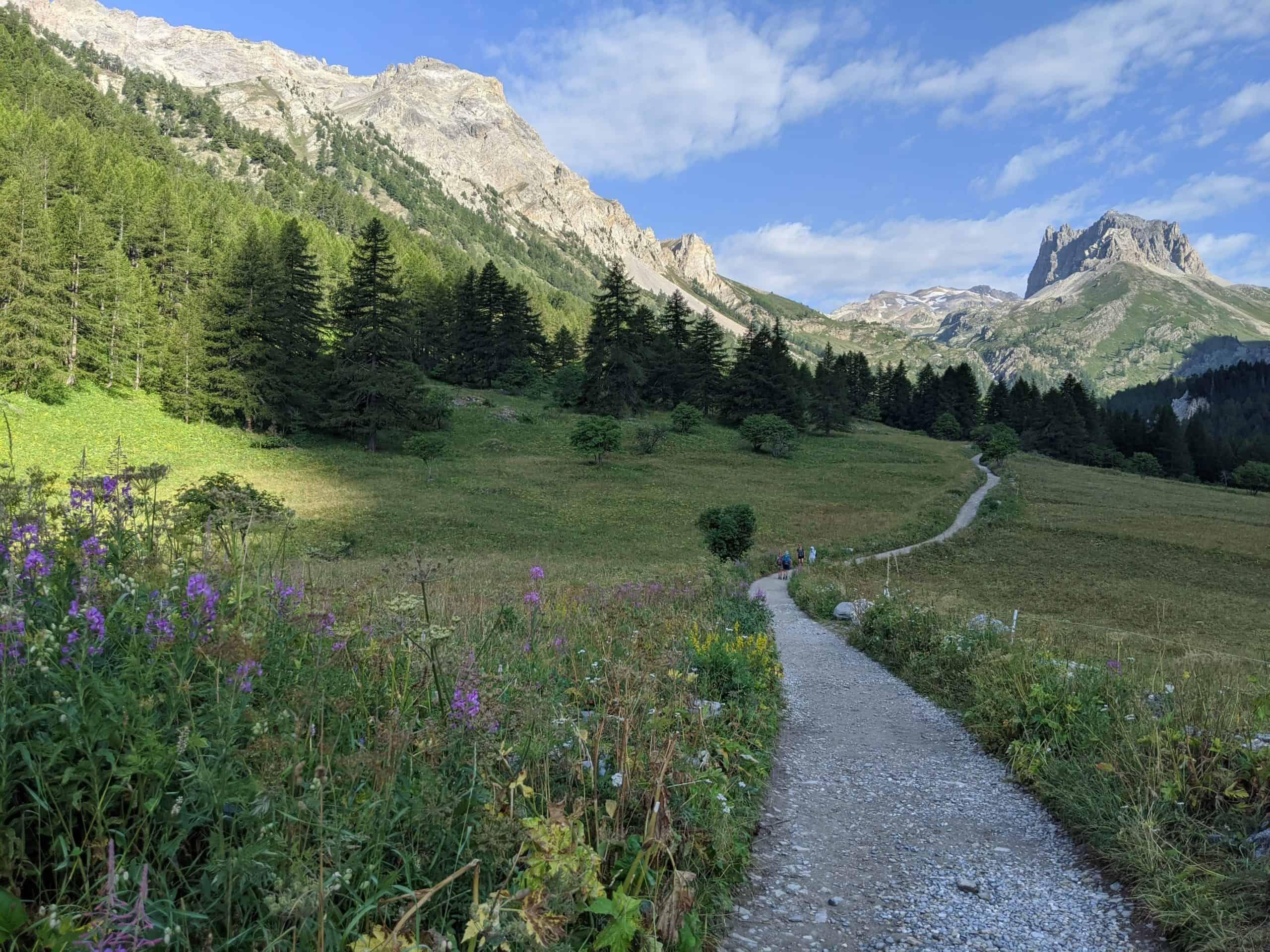 A scenic mountain path through an Alpine meadow with wildflowers and mountain peaks