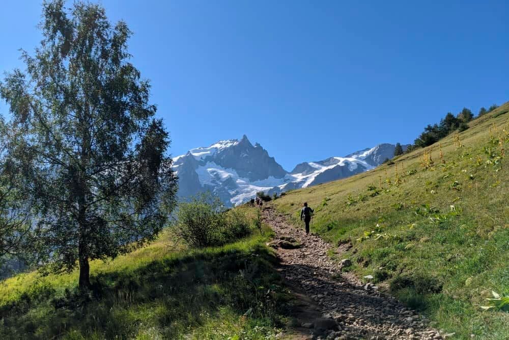 homepage_hiking_scaled