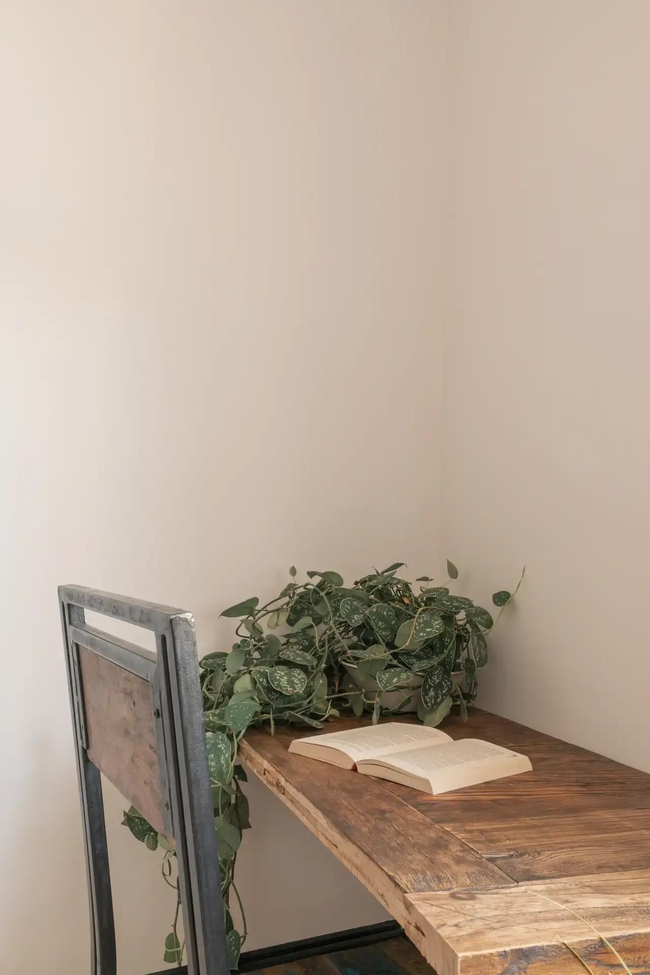Coliving & Coworking Denia Room Detail - own desk
