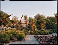 jardin-etnobotanico-de-oaxaca_7644
