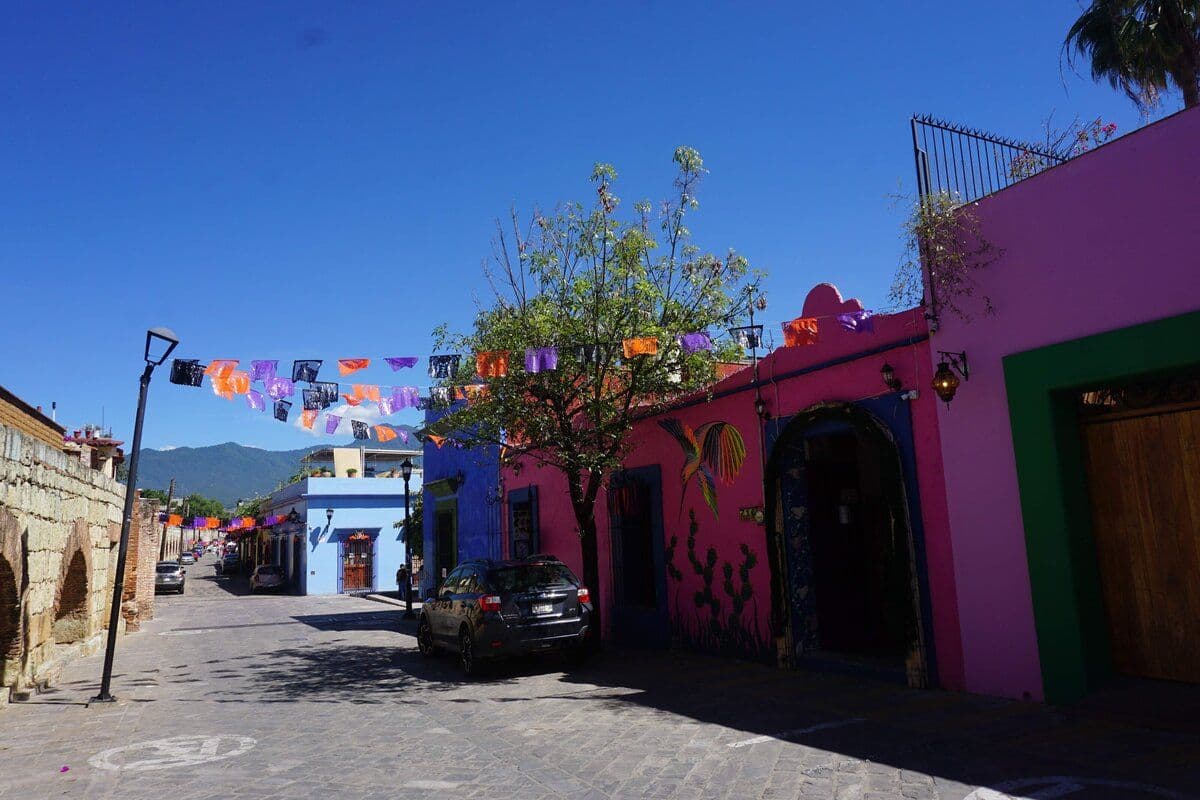 Oaxaca_Laura (2)
