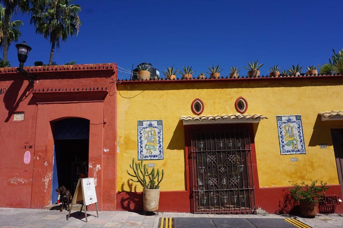 Oaxaca_Laura (3)