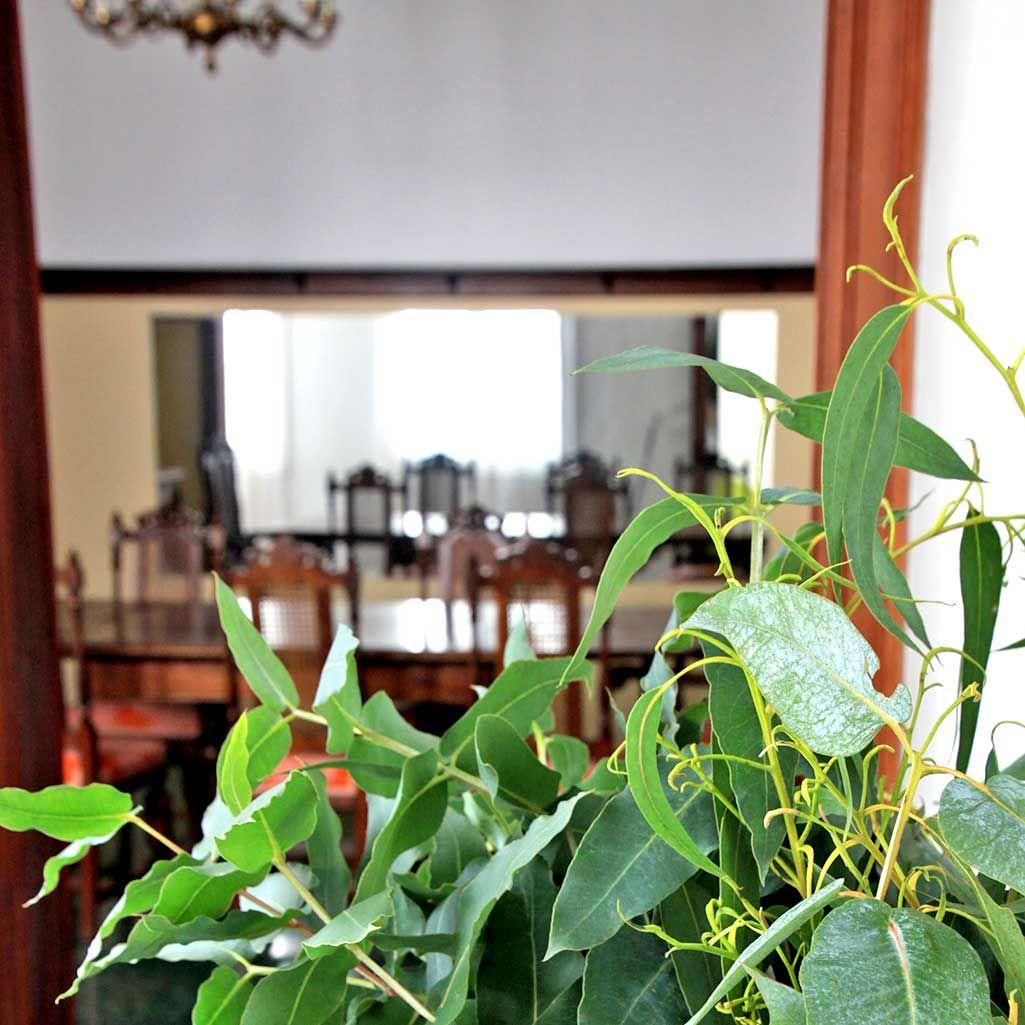 Multifunctional dining room space used for eating and as a coworking space with large antique-looking table