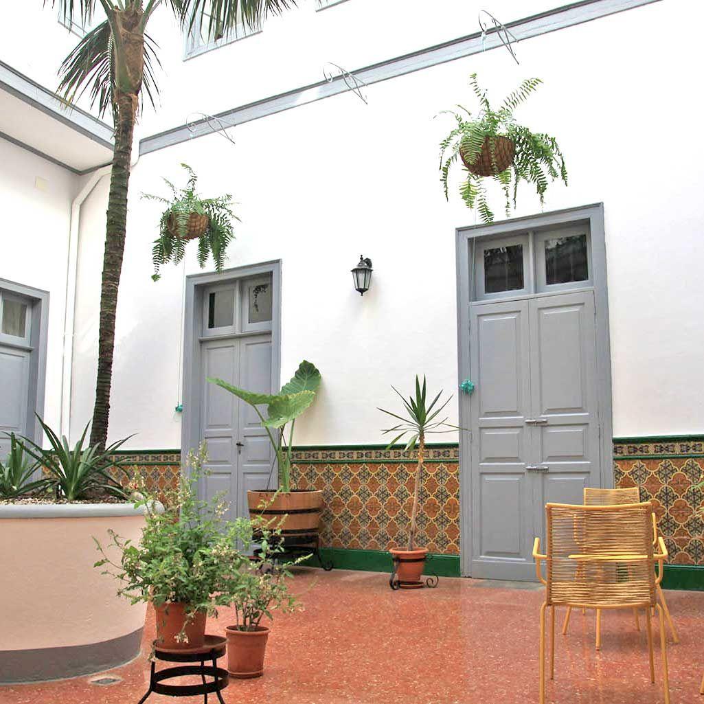 Impressive outdoor patio of 59m2 decorated in the style of a typical Canarian house with tall palm tree in the centre