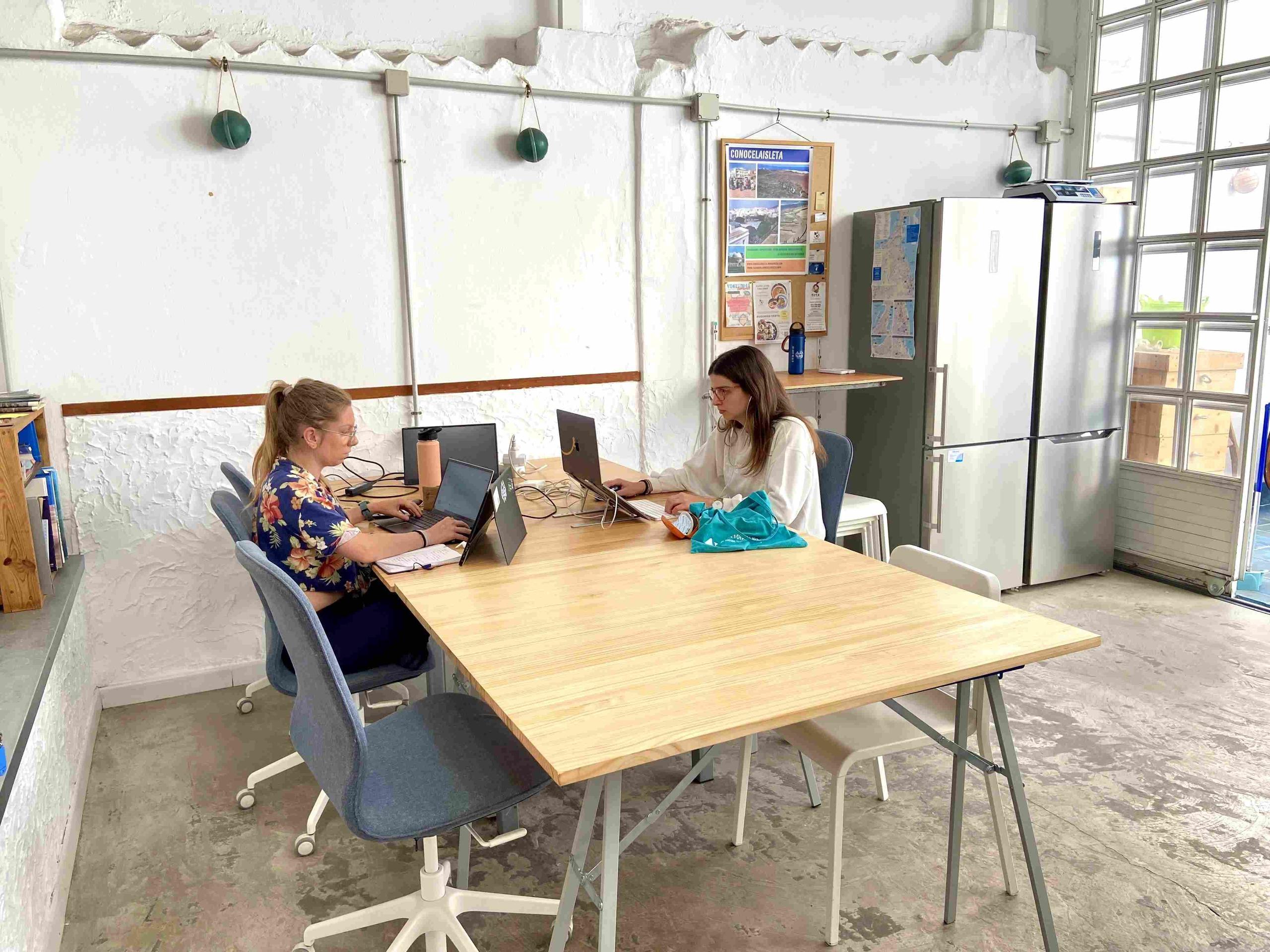 Digital Nomads working in EcoIsleta Coliving and coworking