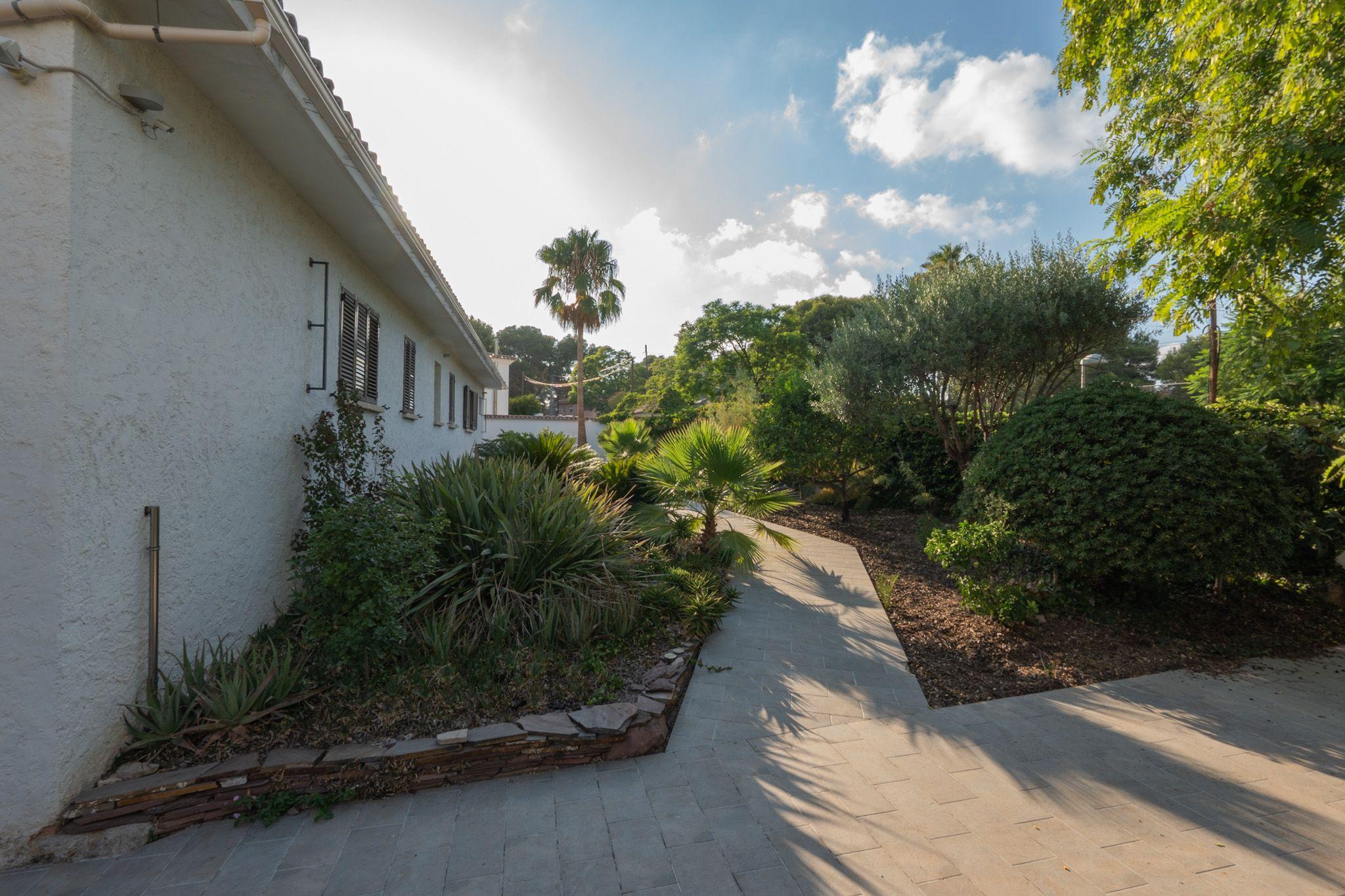 Side garden path alongside the villa building with tropical plants