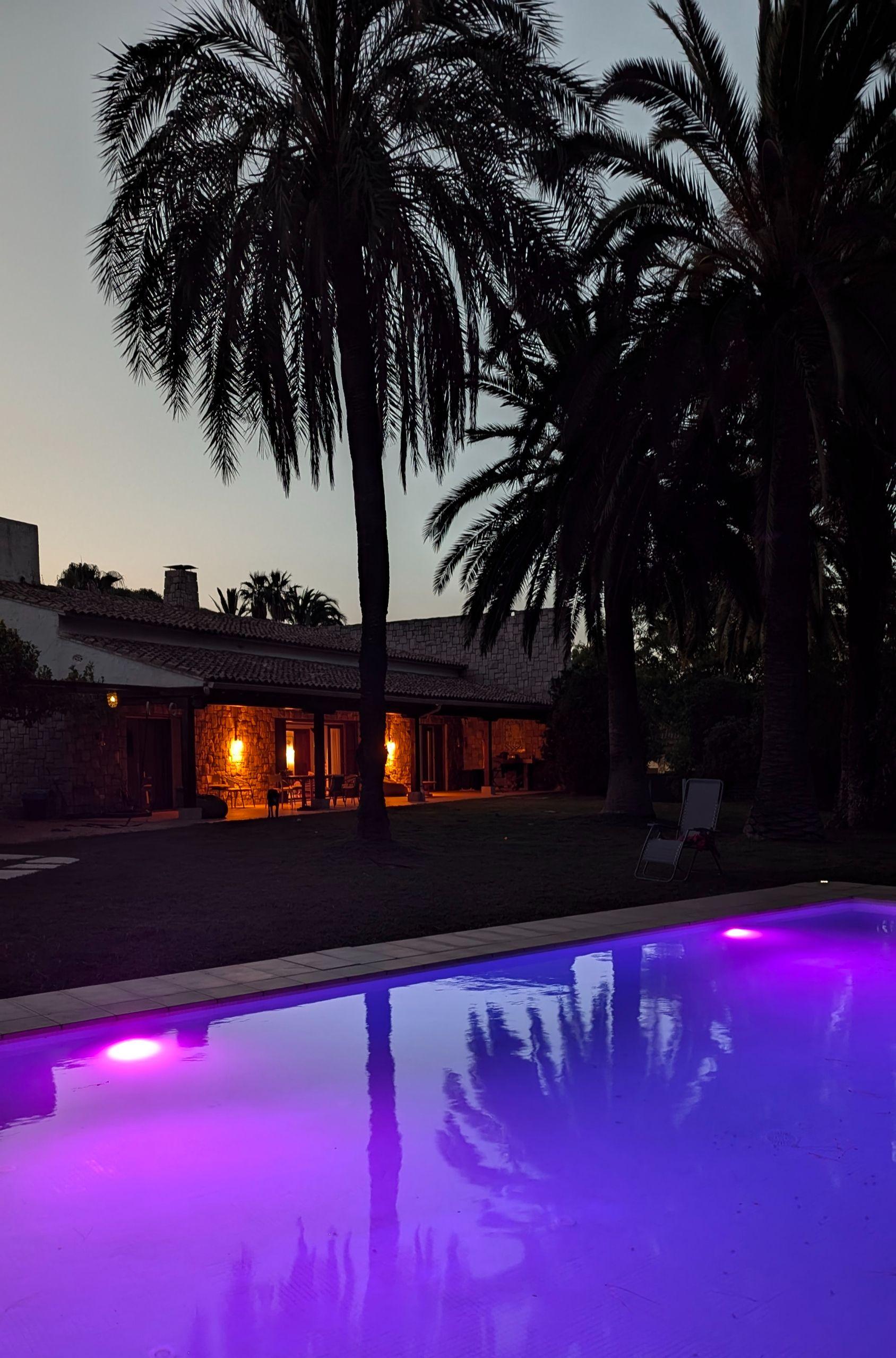 Swimming pool illuminated with purple lights at dusk, with palm trees and villa in the background
