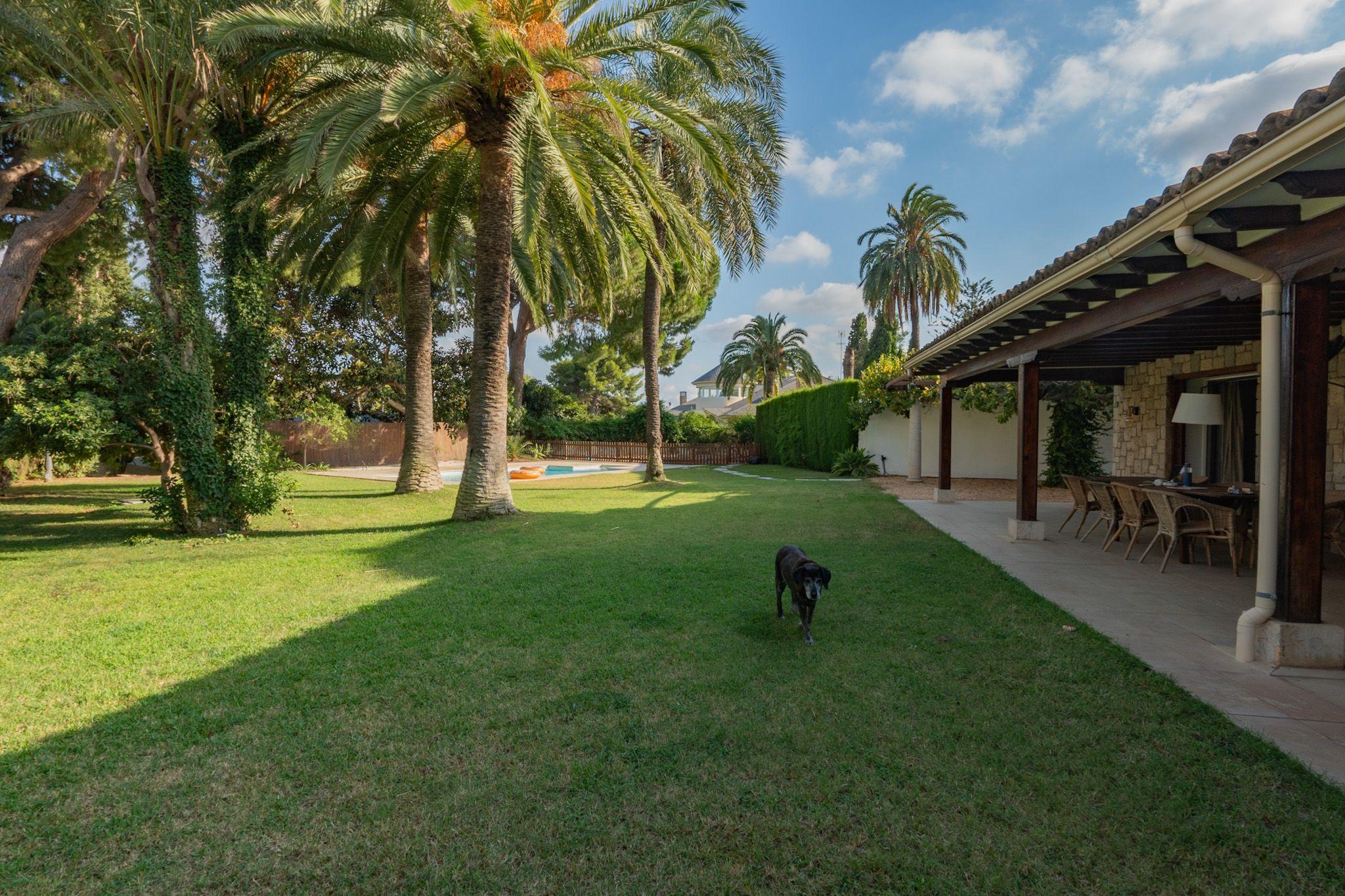 Lush garden with palm trees, swimming pool visible in the background, and covered terrace