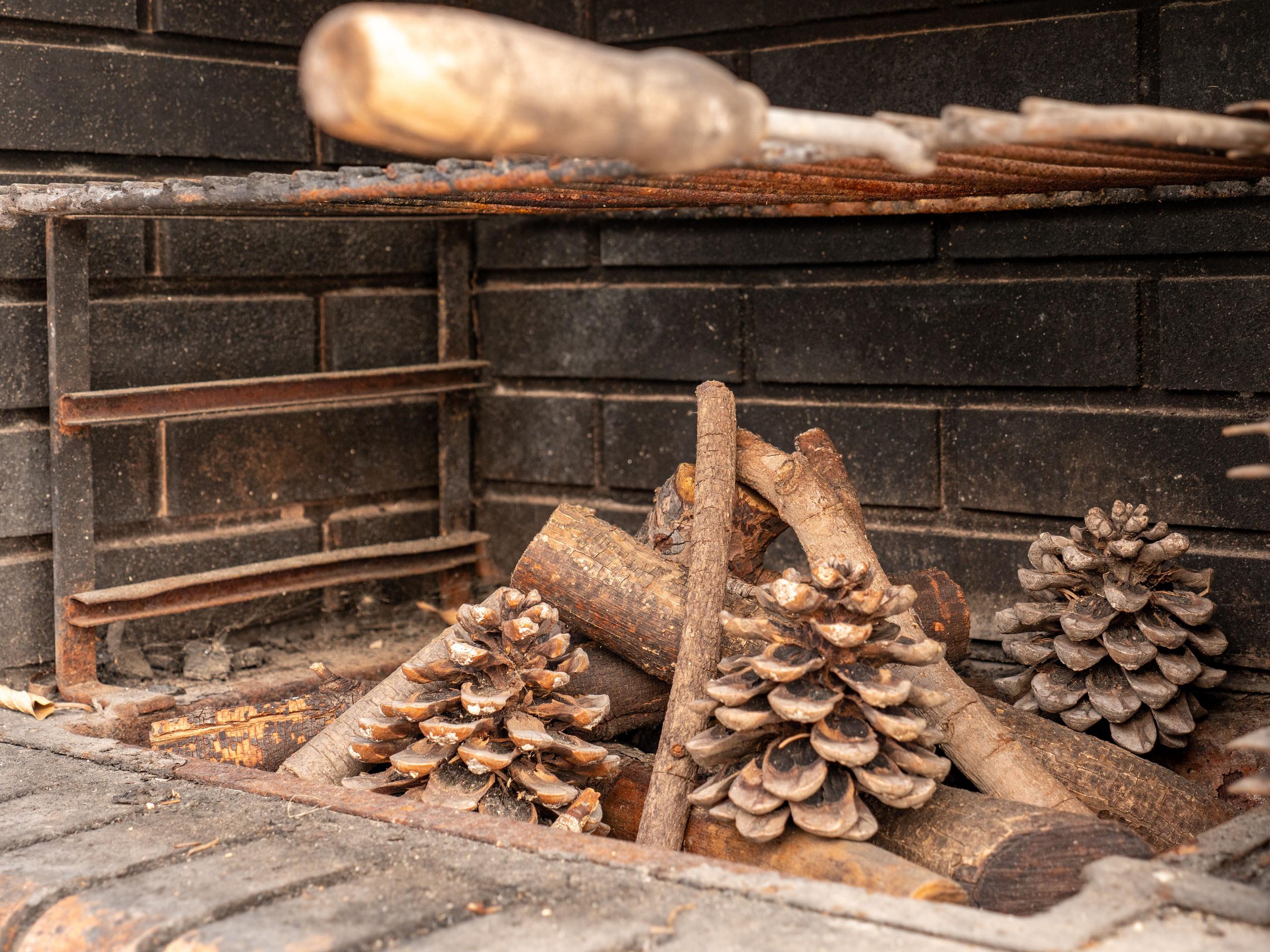 Close-up of the outdoor BBQ grill with firewood and pine cones