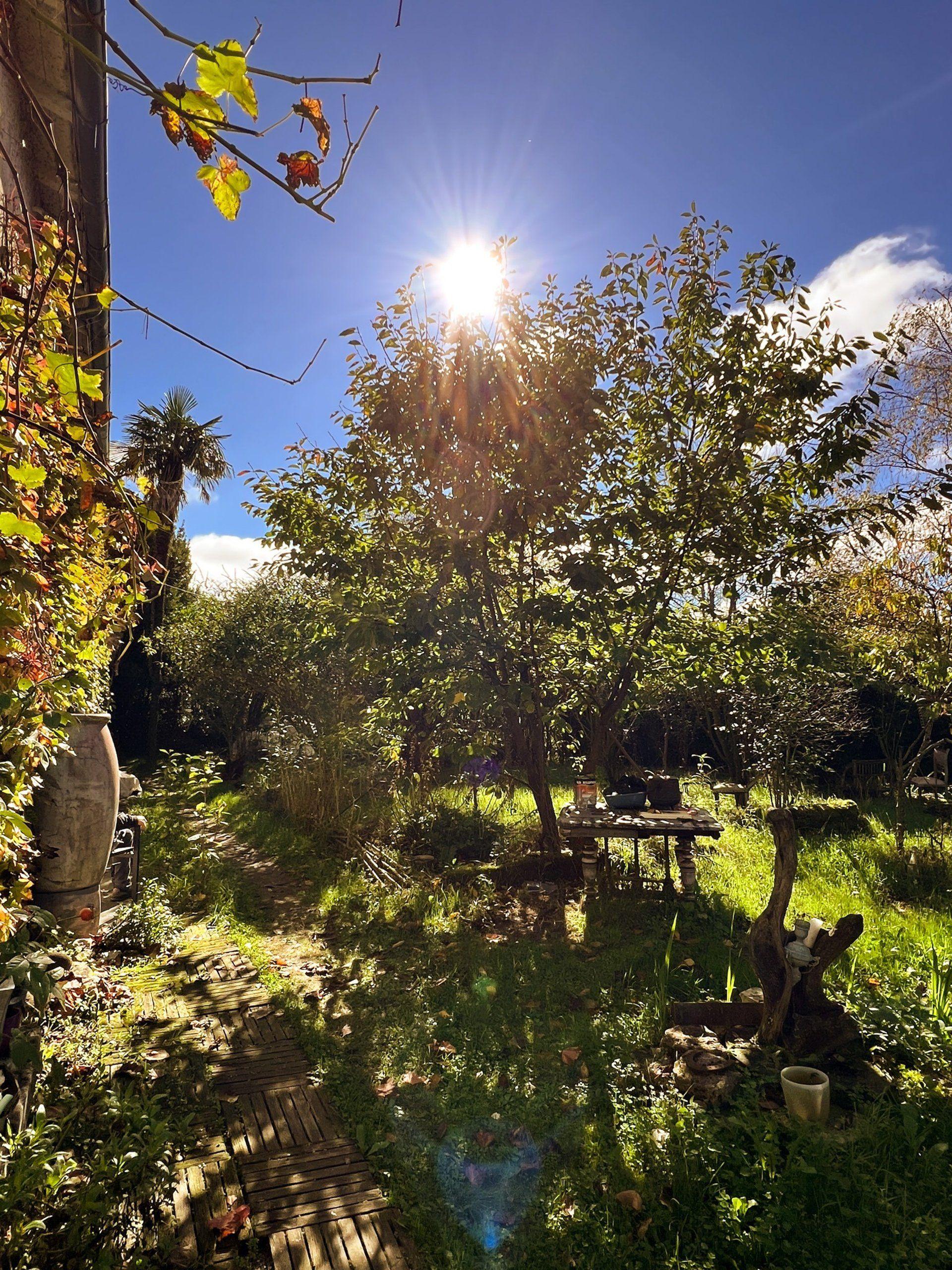 The garden of Enchanted Coliving bathed in sunlight, with trees, lush greenery, a wooden deck, and garden furniture